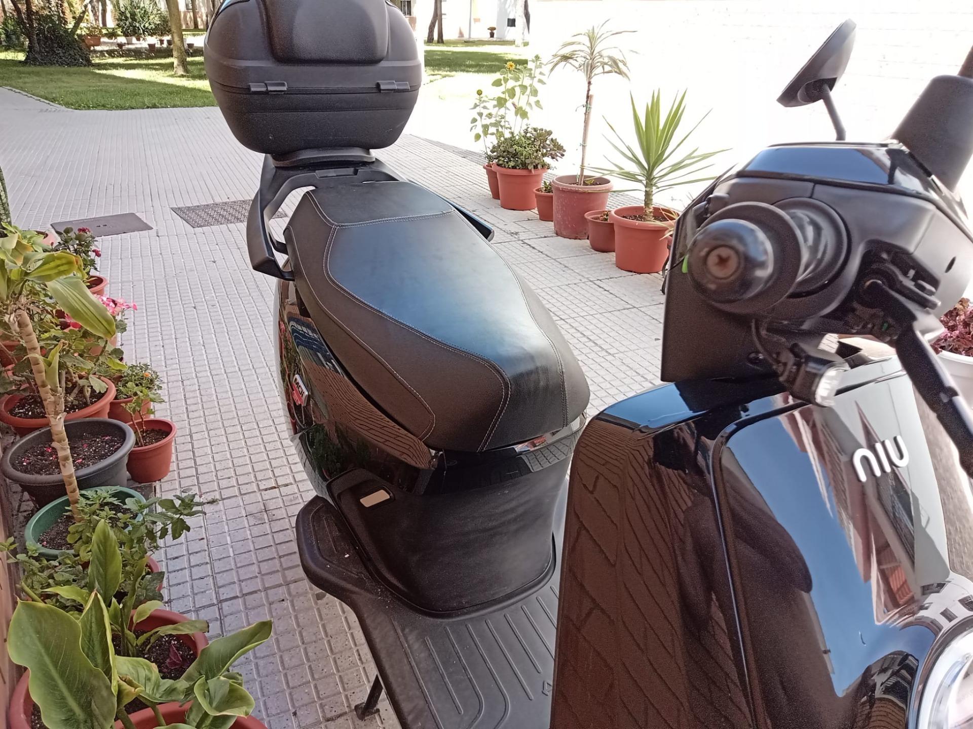 Foto 4 de niu mqi gt