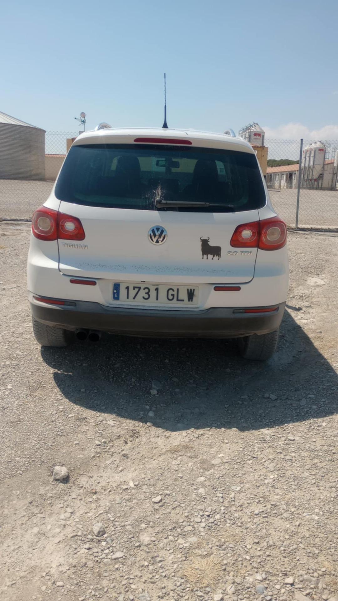 Foto de Land rover frelander2