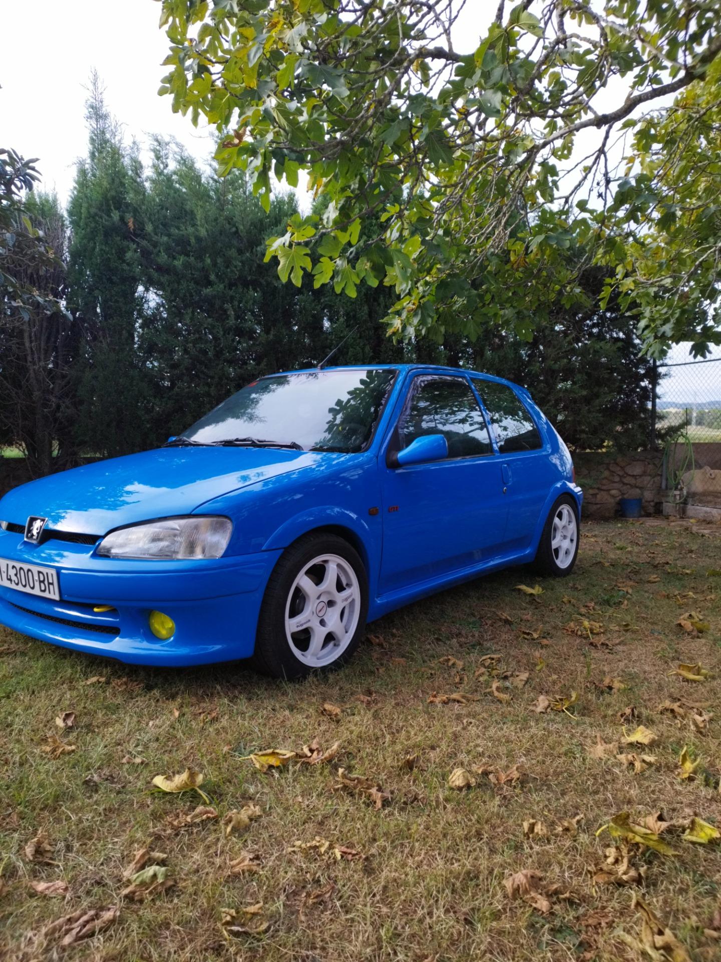 Foto 5 de Peugeot 106 gti 