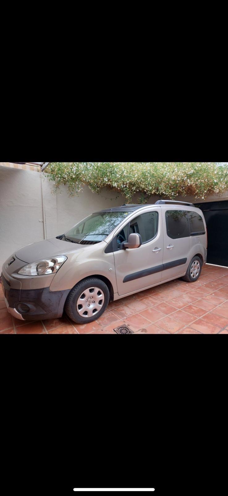 Foto de Peugeot parnert 