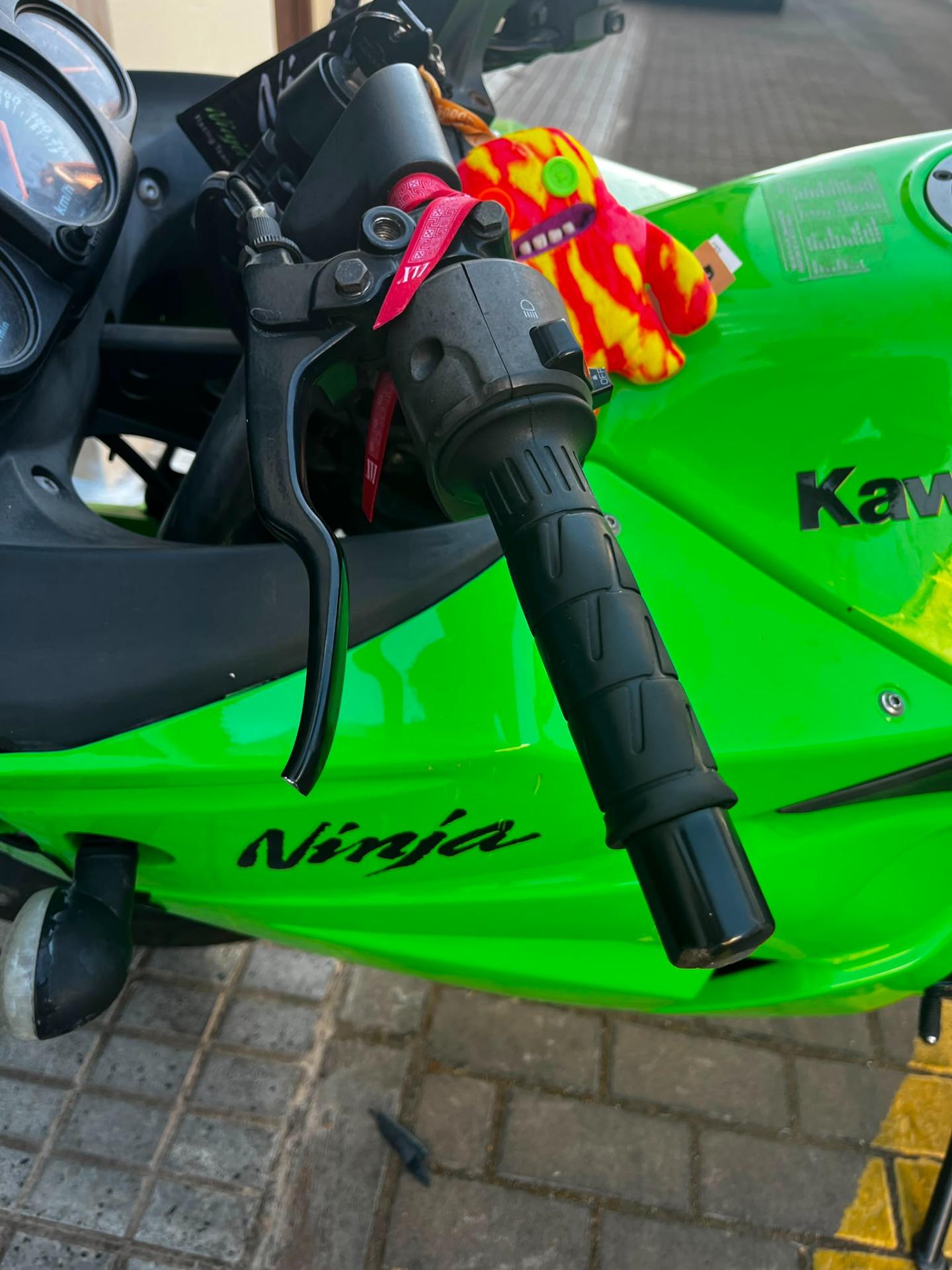 Foto 7 de Ninja 250