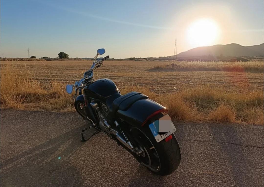 Foto 3 de Harley Davidson Vrod-Muscle 