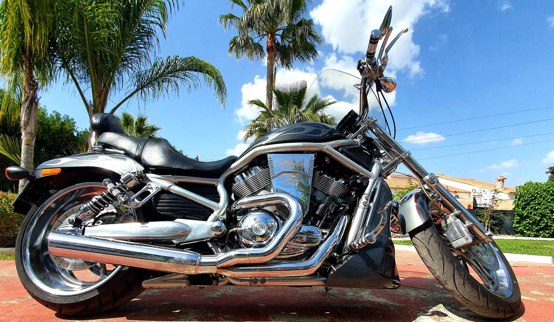 Foto 5 de Harley Davidson VROD