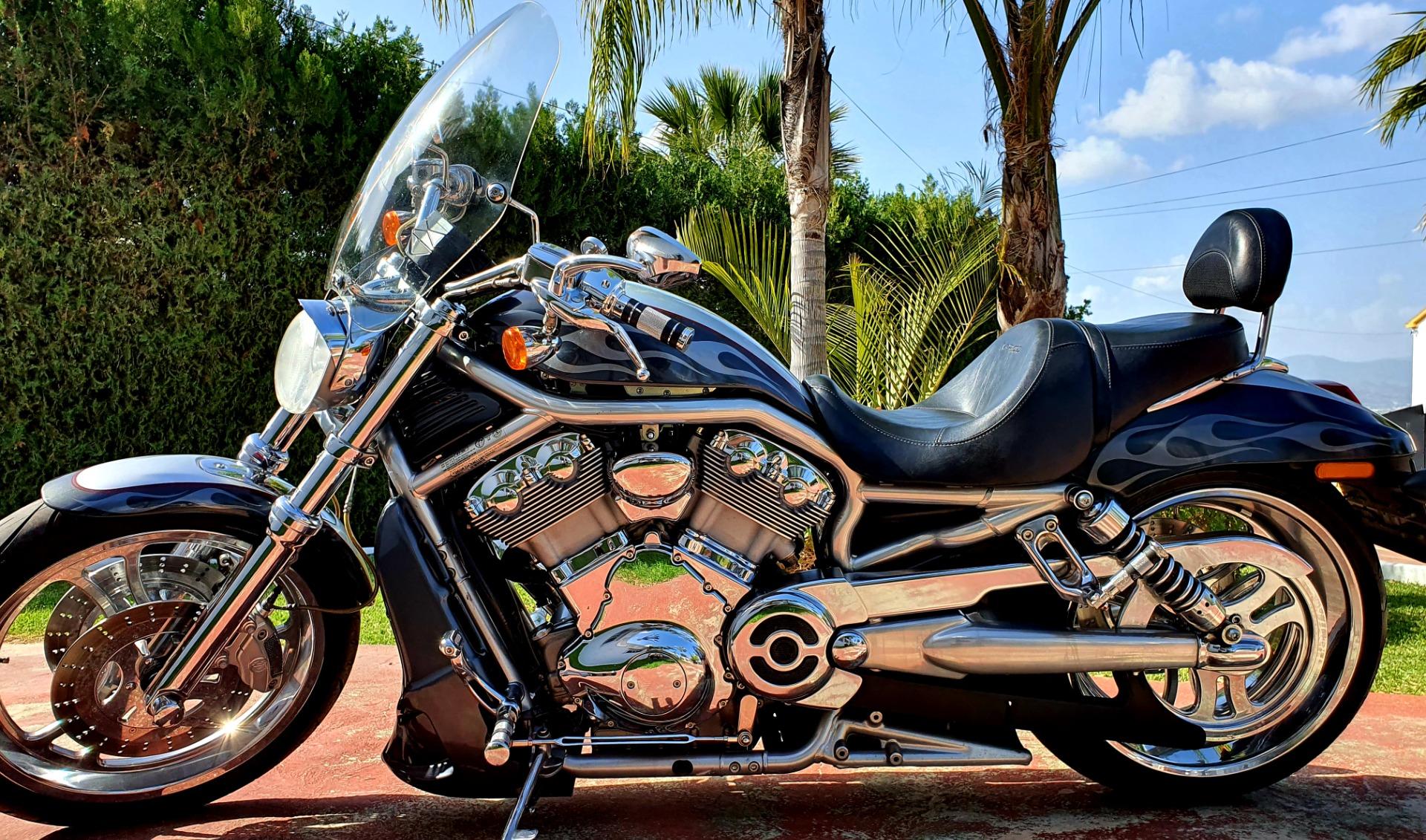 Foto 2 de Harley Davidson VROD