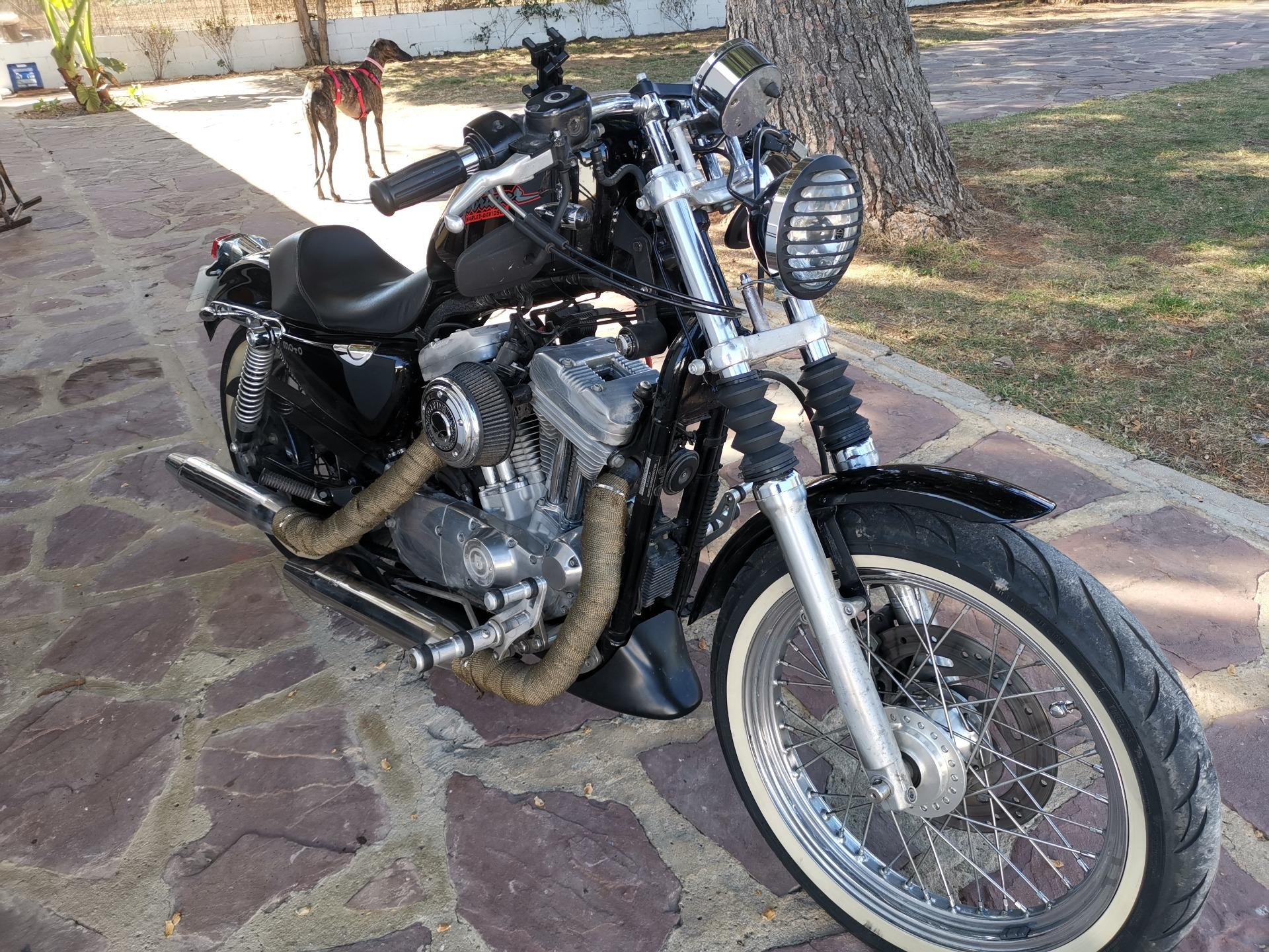 Foto 4 de Harley Davidson sportster 883