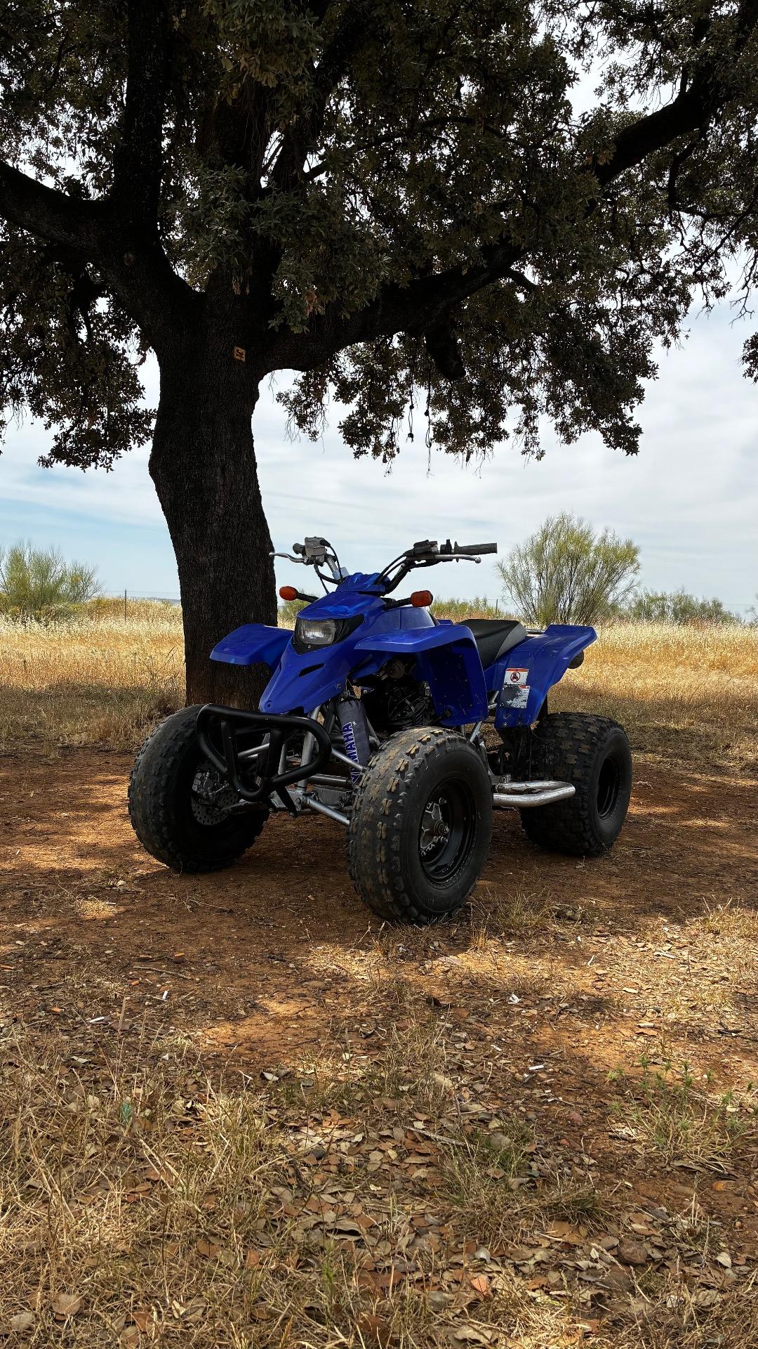 Foto 2 de Yamaha blaster 200