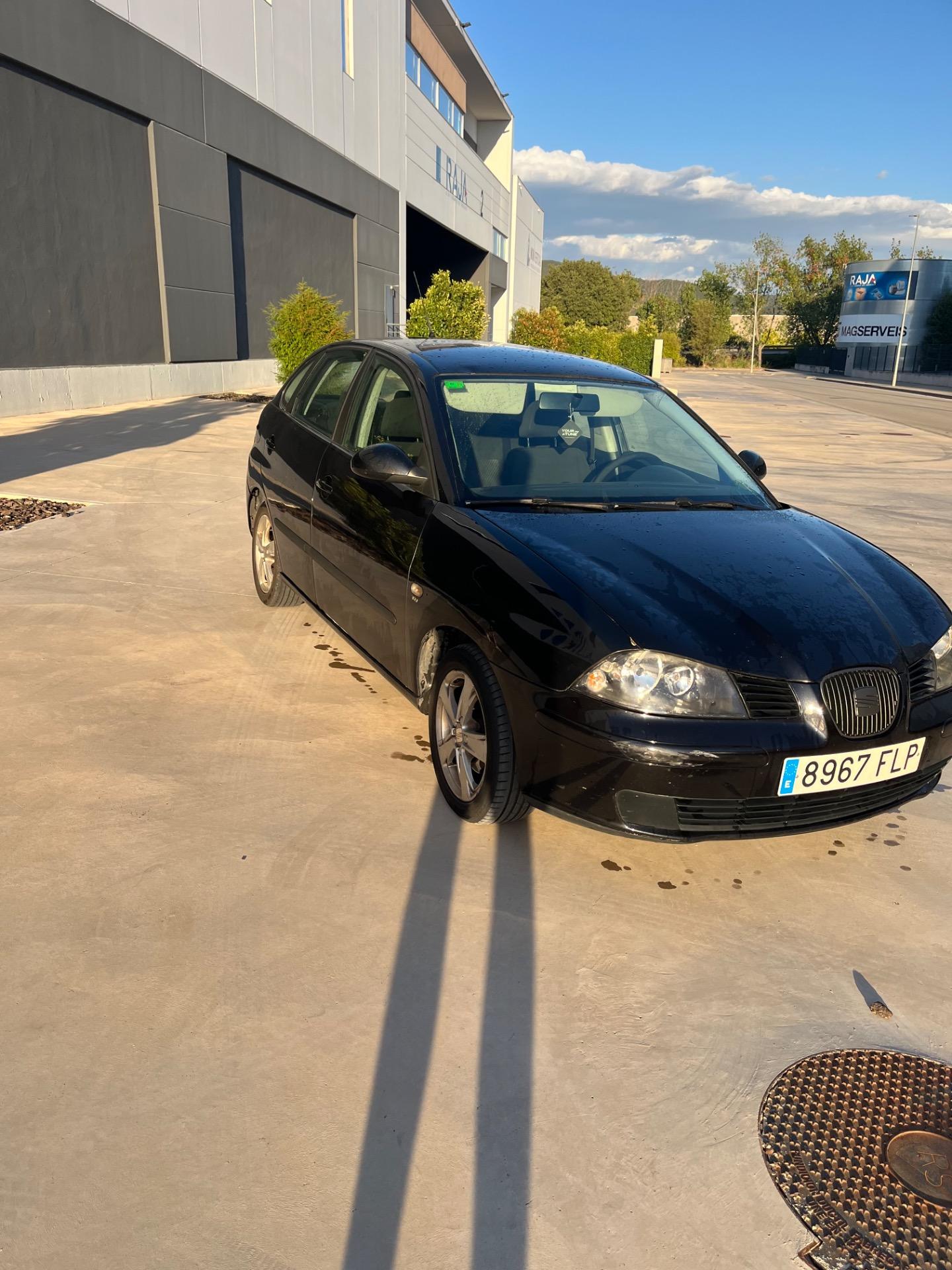 Foto 6 de Seat Ibiza 1.9 tdi