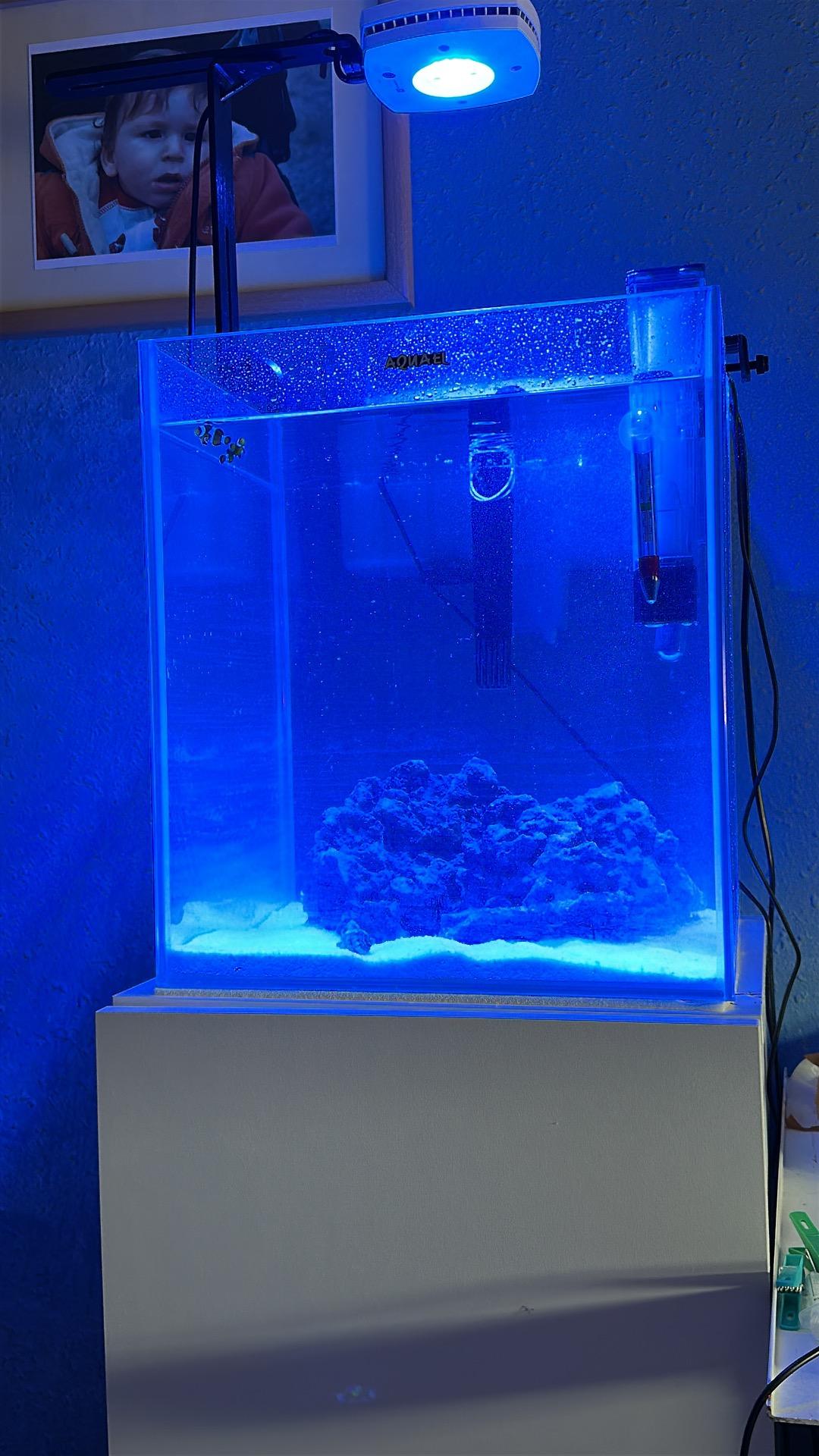 Foto de Nano acuario marino 49L 35x35x40 con mueble