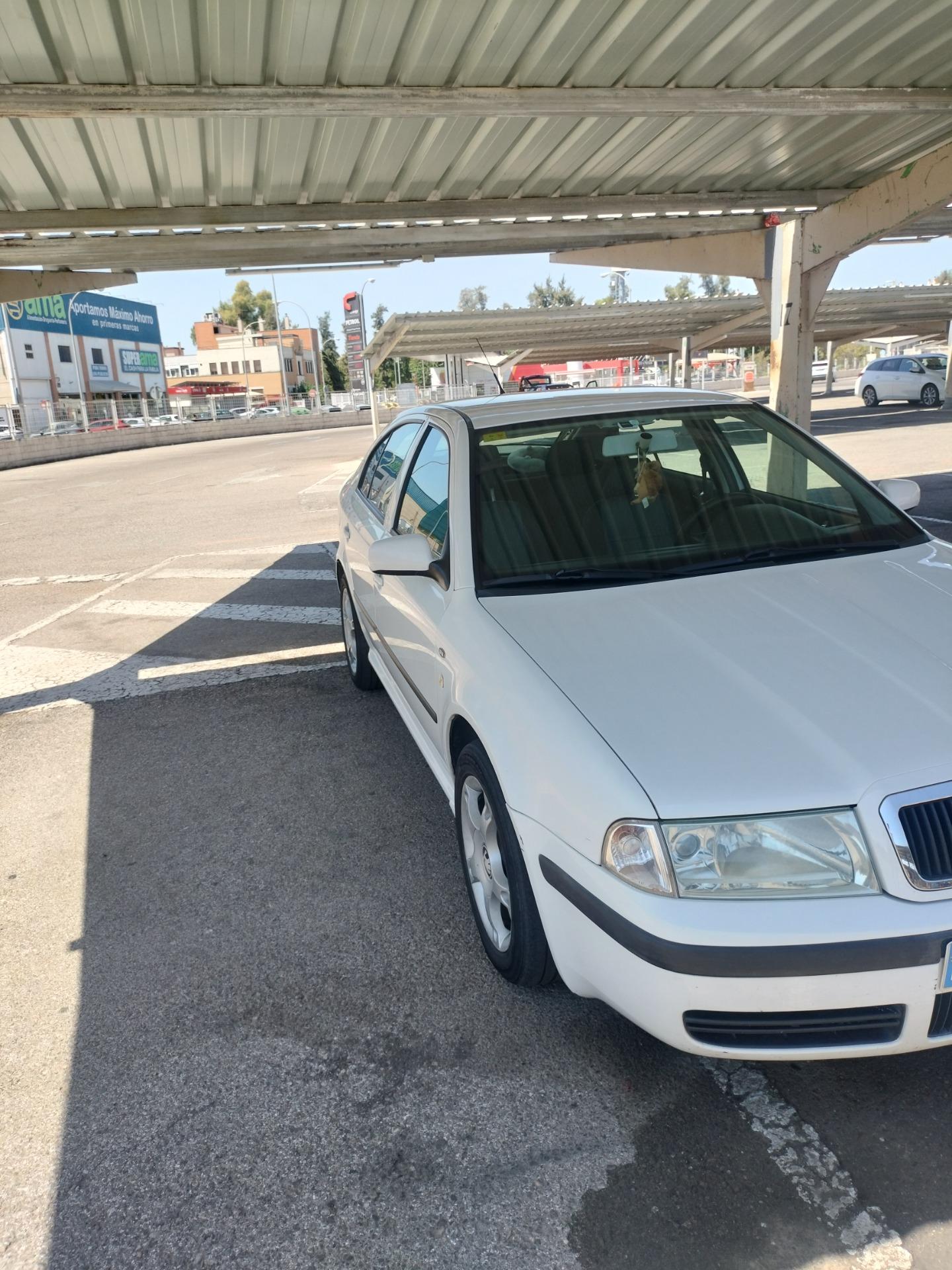 Foto 6 de Skoda Octavia 1.9 TDI