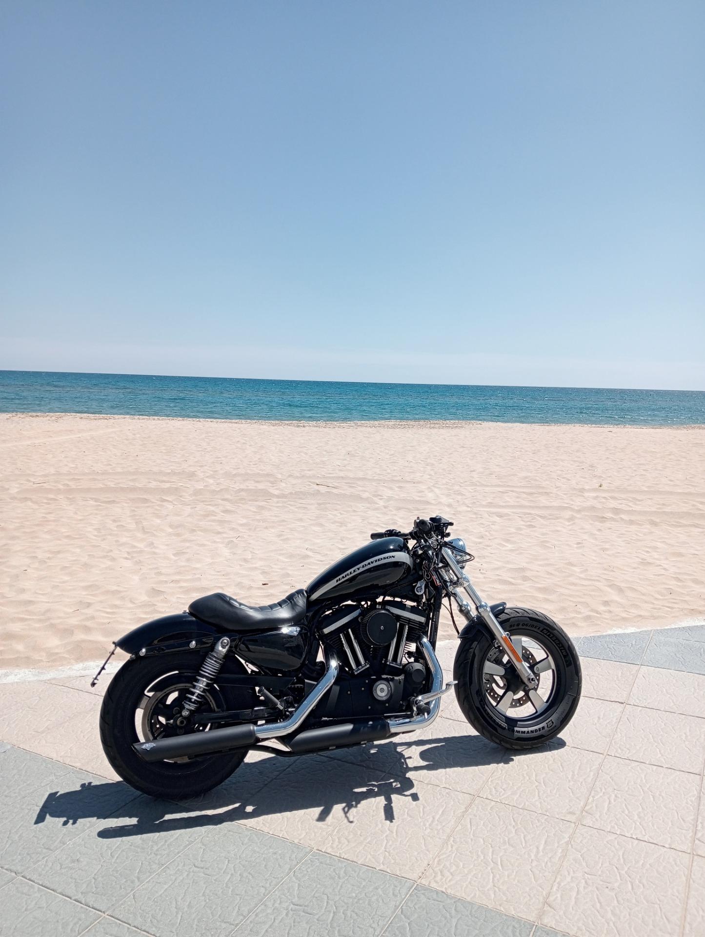Foto 3 de Harley Davidson sporster 1200 custom  
