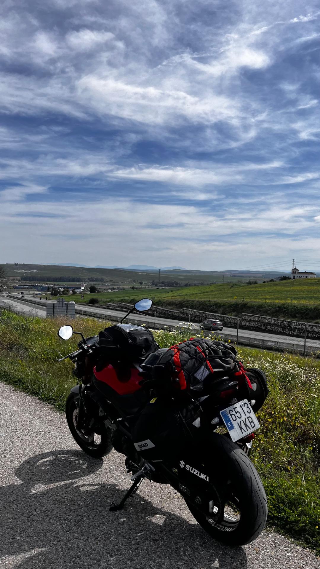 Foto 3 de Suzuki SV650