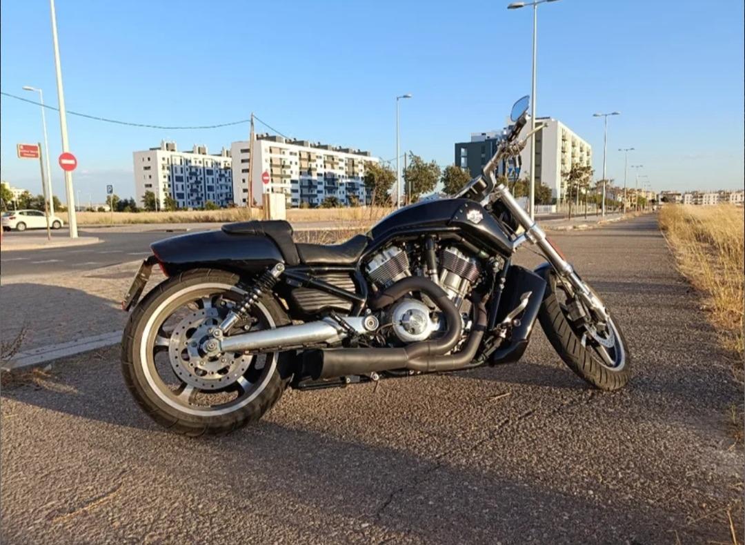 Foto 1 de Harley Davidson Vrod-Muscle 
