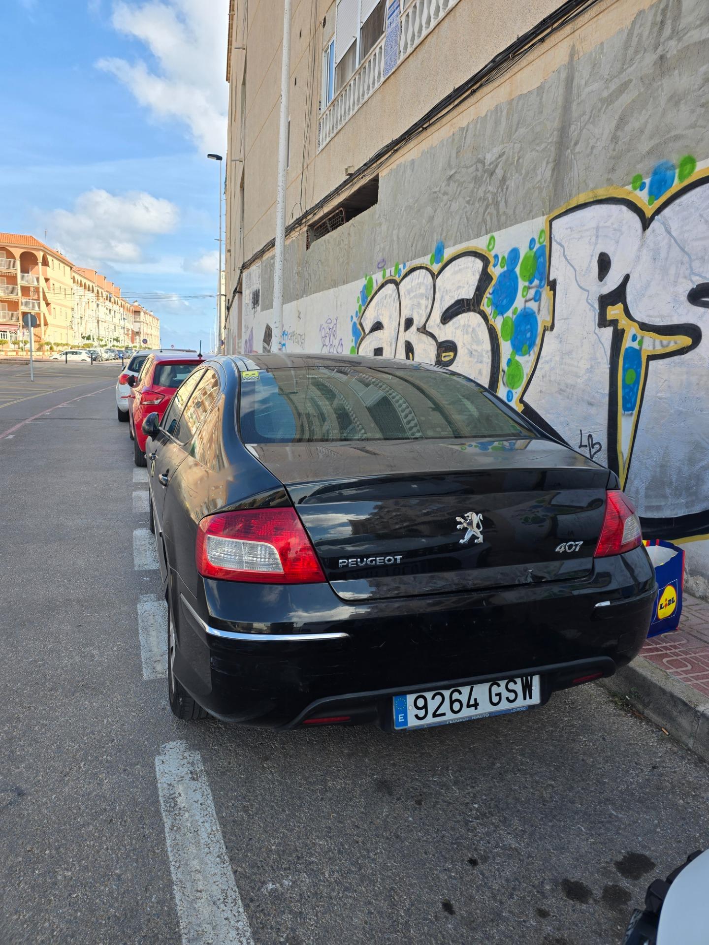 Foto 8 de Peugeot 407 sport