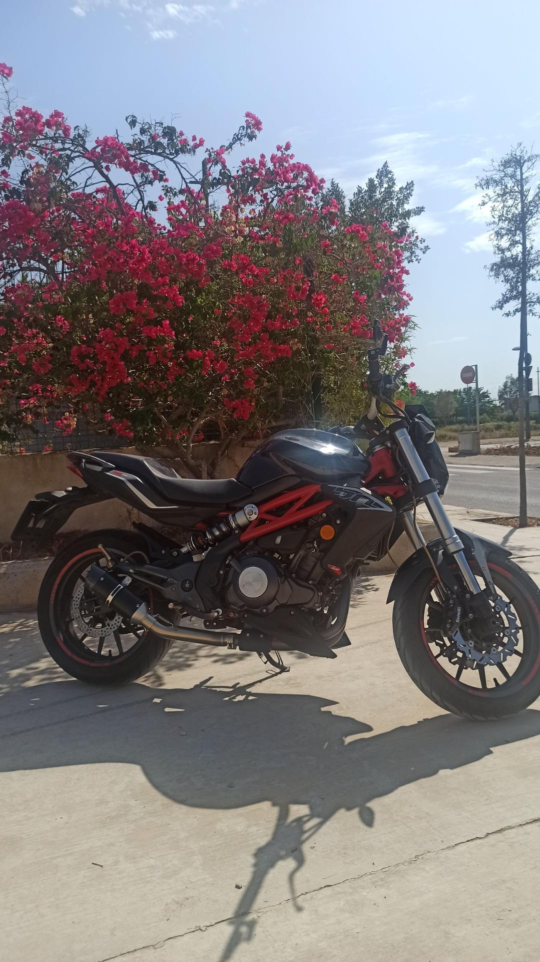 Foto 2 de CAMBIO BENELLI BN 302