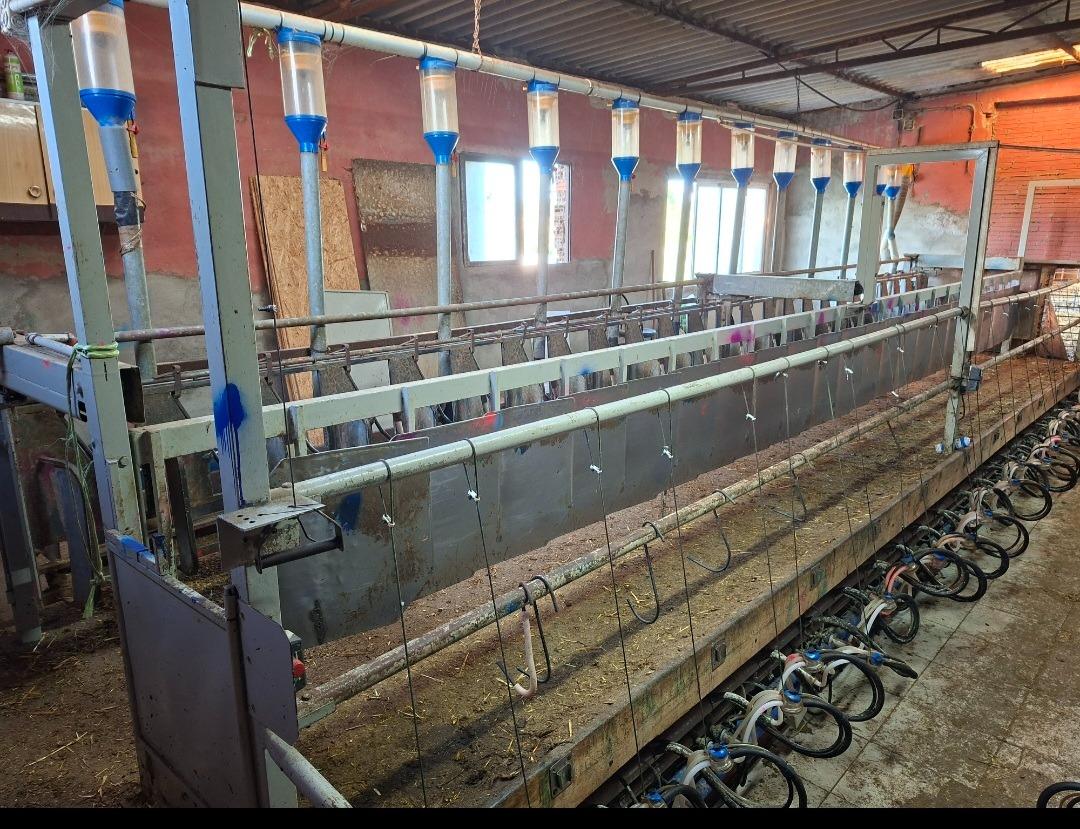 Foto 2 de Carro de ordeño 48 puntos 