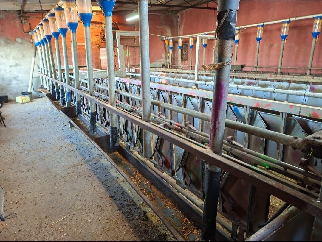 Foto 3 de Carro de ordeño 48 puntos 