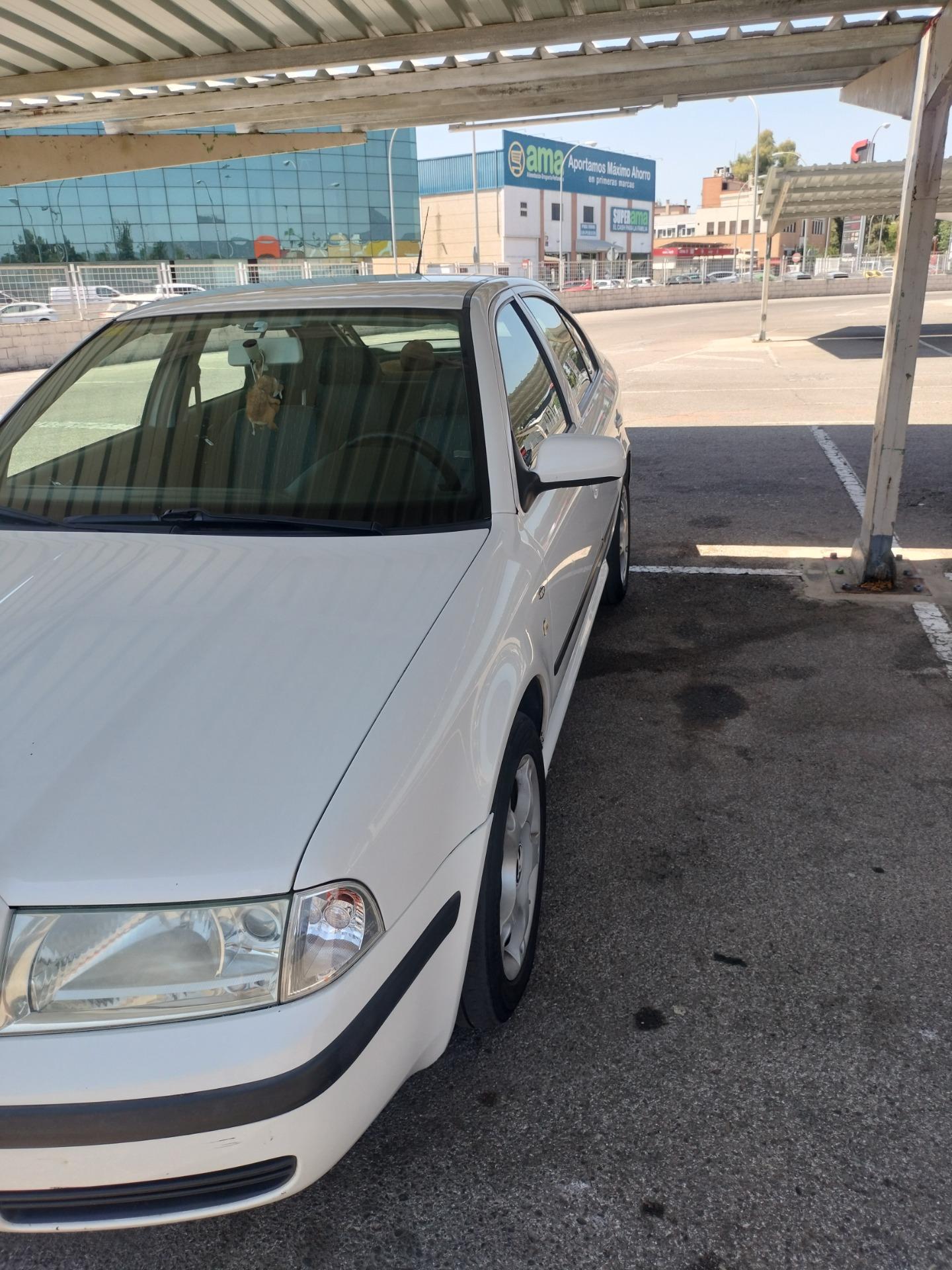 Foto 8 de Skoda Octavia 1.9 TDI