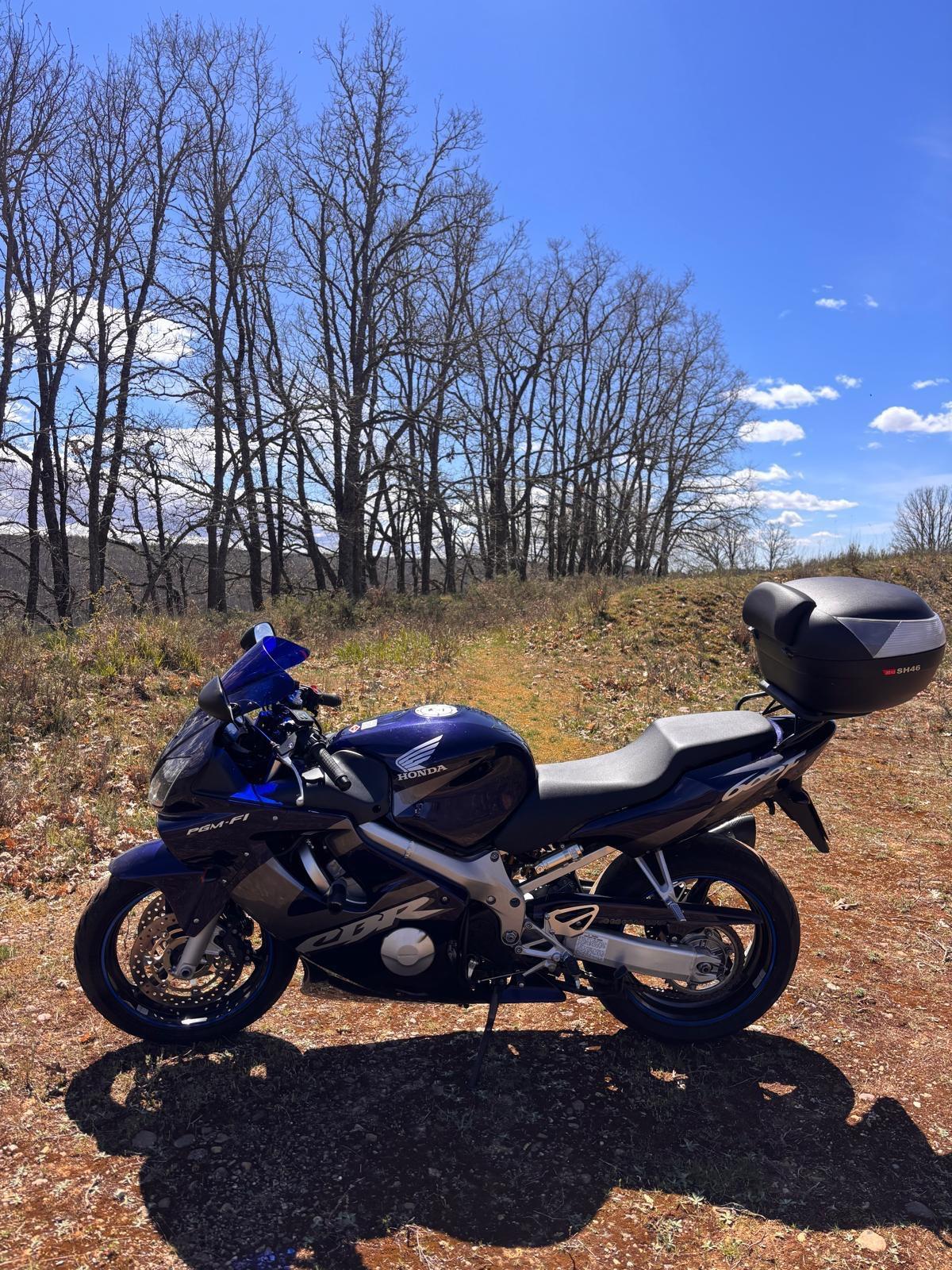 Foto de Honda CBR 600 F 2003 
