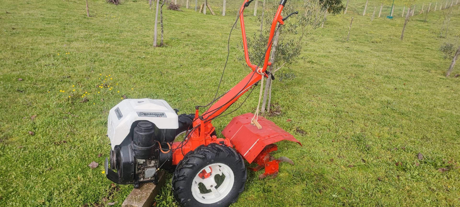 Foto de Motocultor Pasquali 