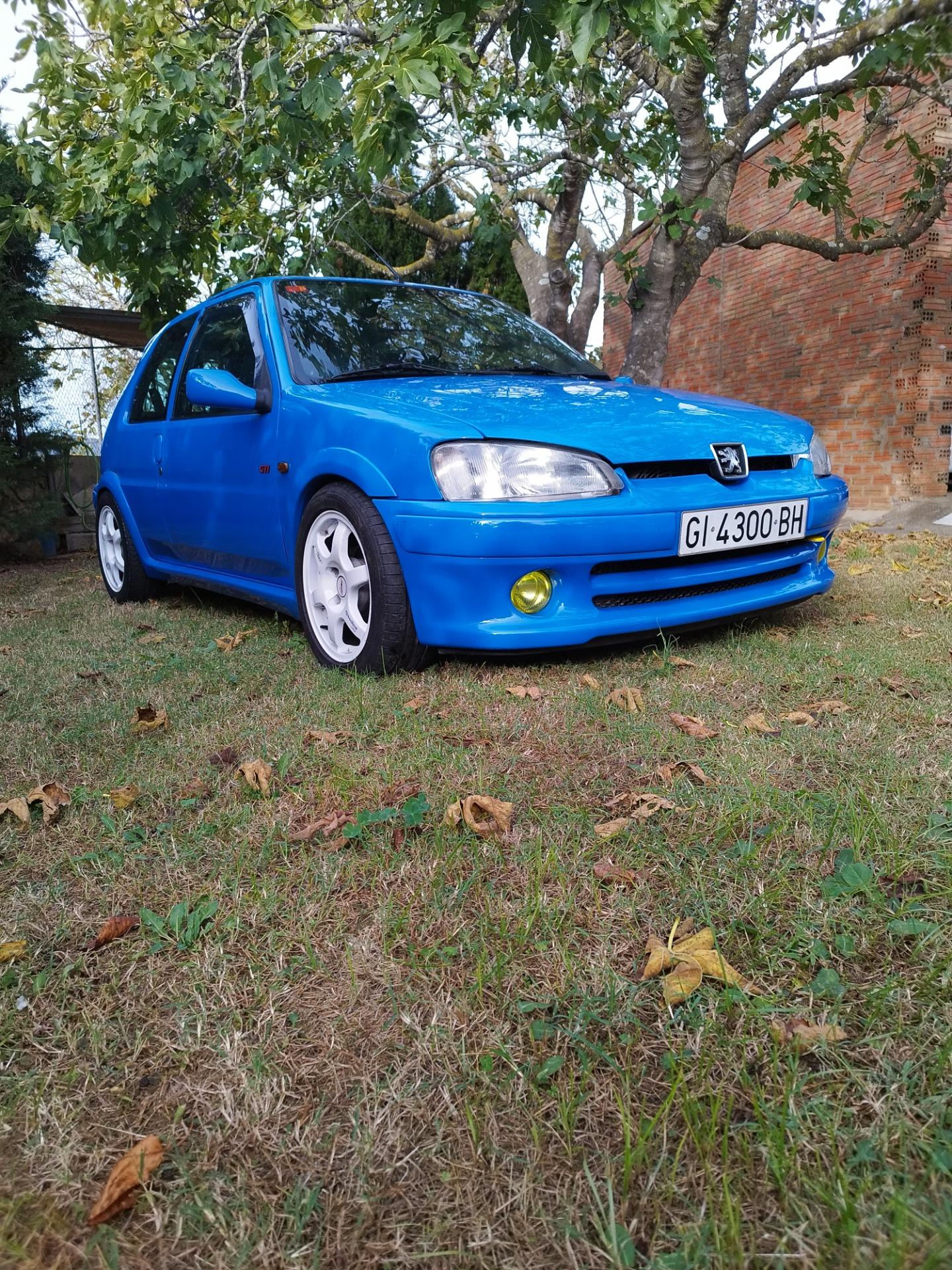 Foto 9 de Peugeot 106 gti 