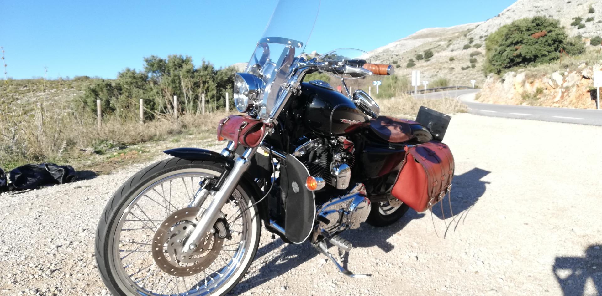 Foto 4 de Harley XL1200C 