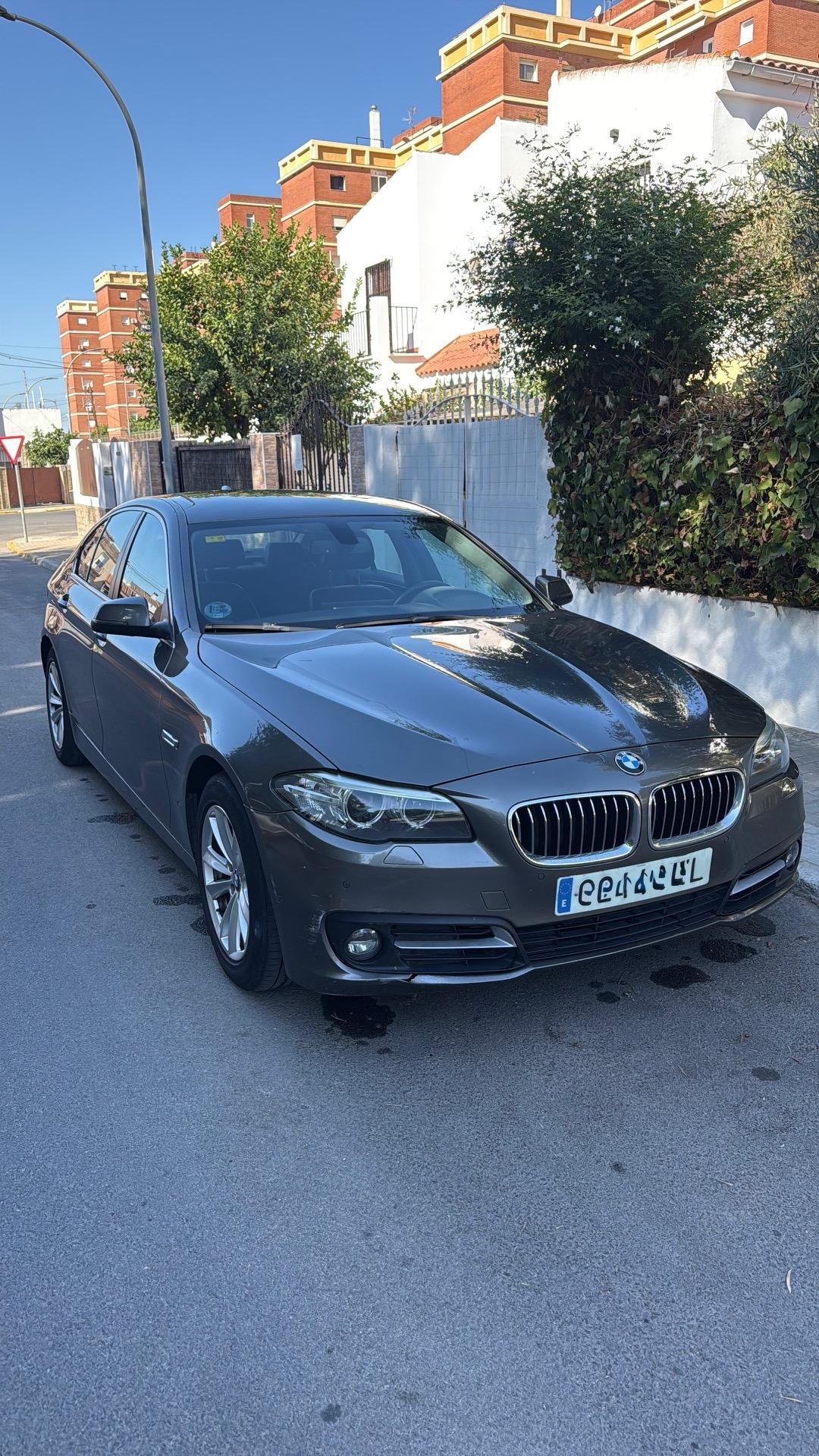 Foto 1 de BMW 520d automático 184cv cuero CarPlay 12” 260.000km