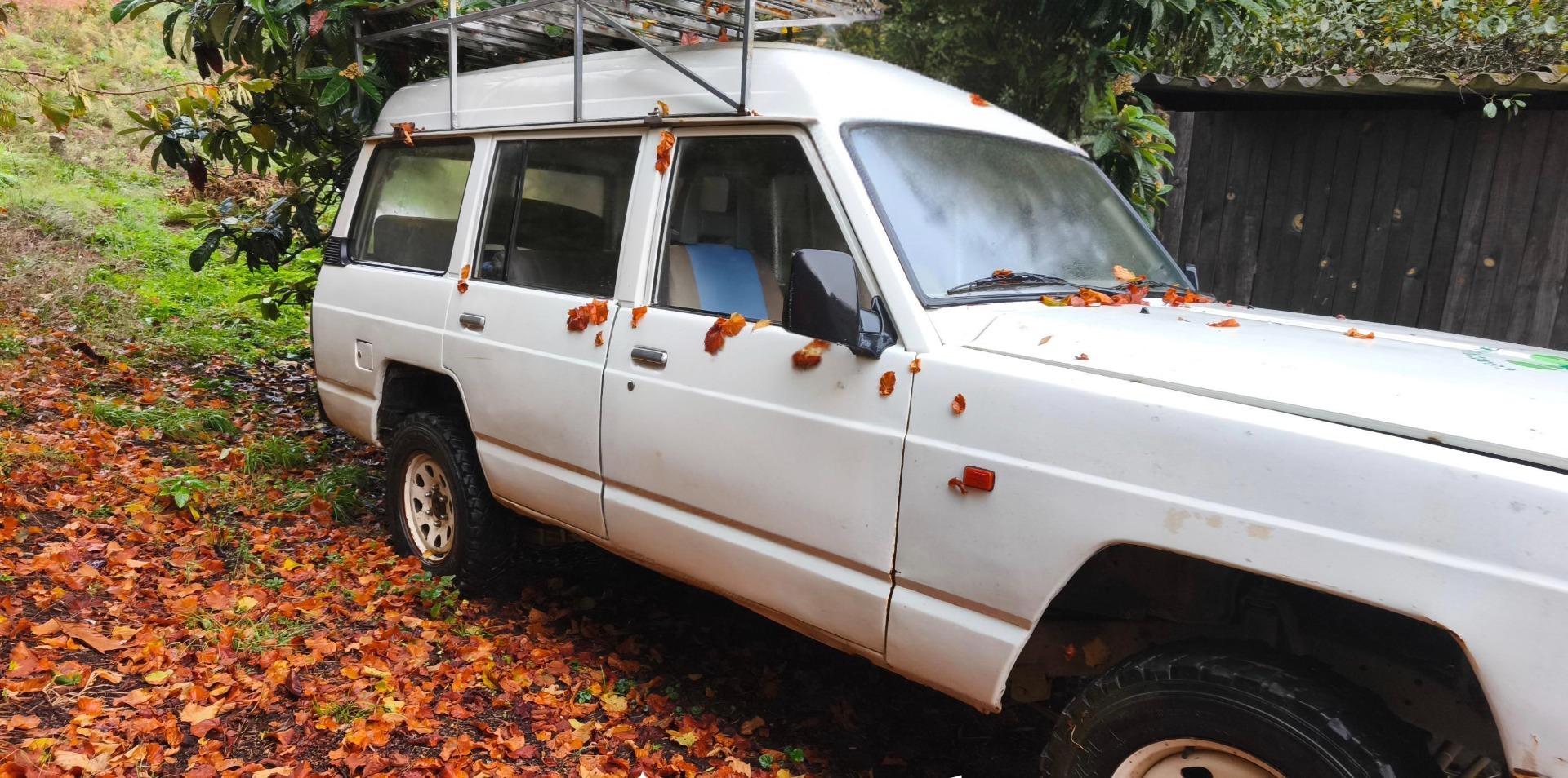 Foto de Cambio Nissan patrol por quad y algo de dinero 