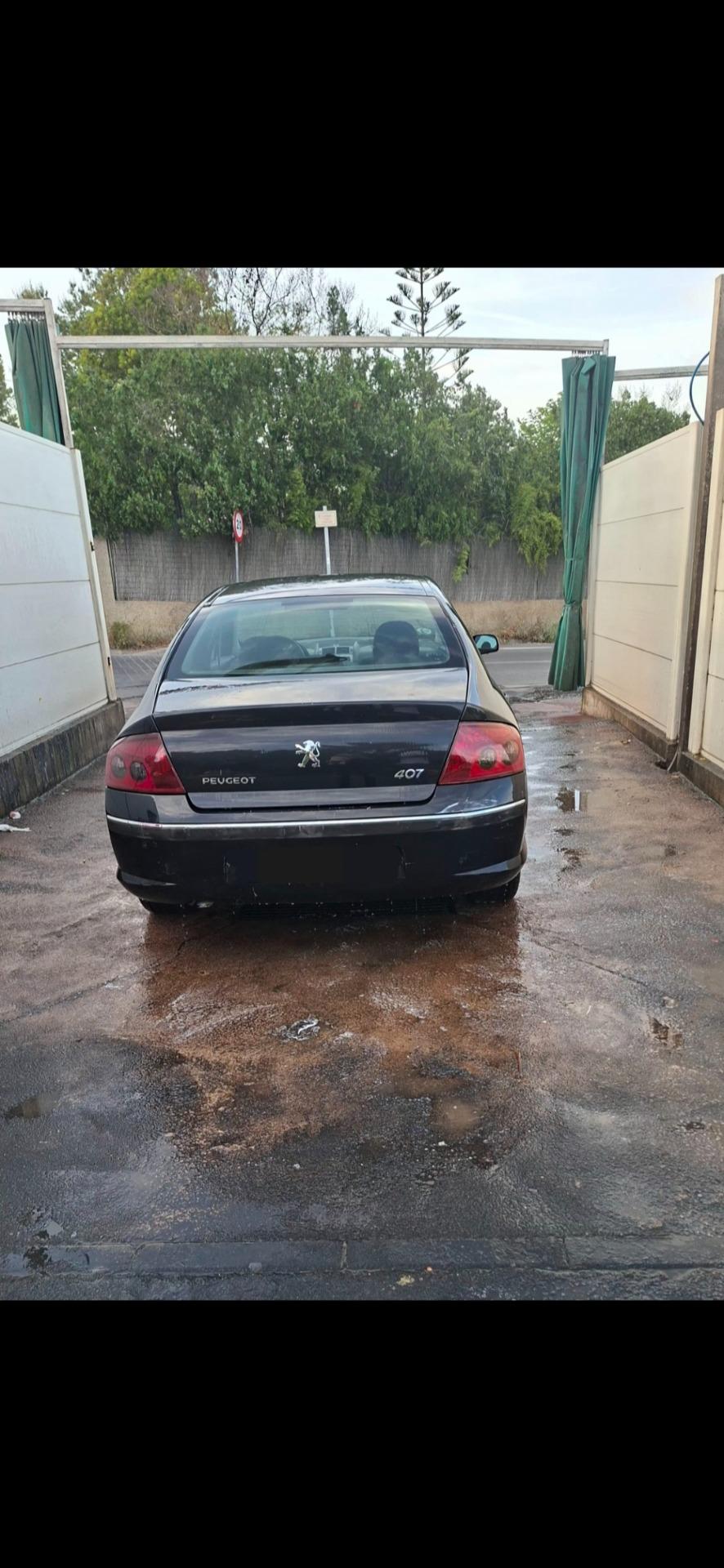 Foto 7 de Peugeot 407 2HDI