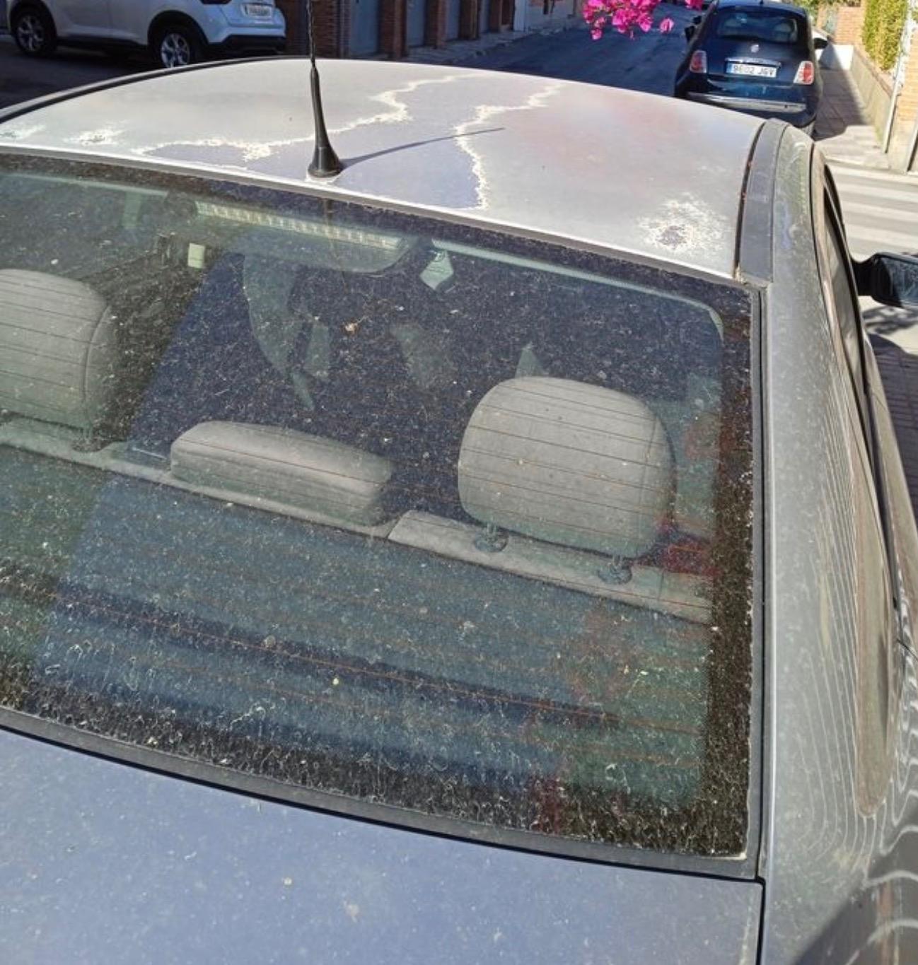 Foto 5 de Coche