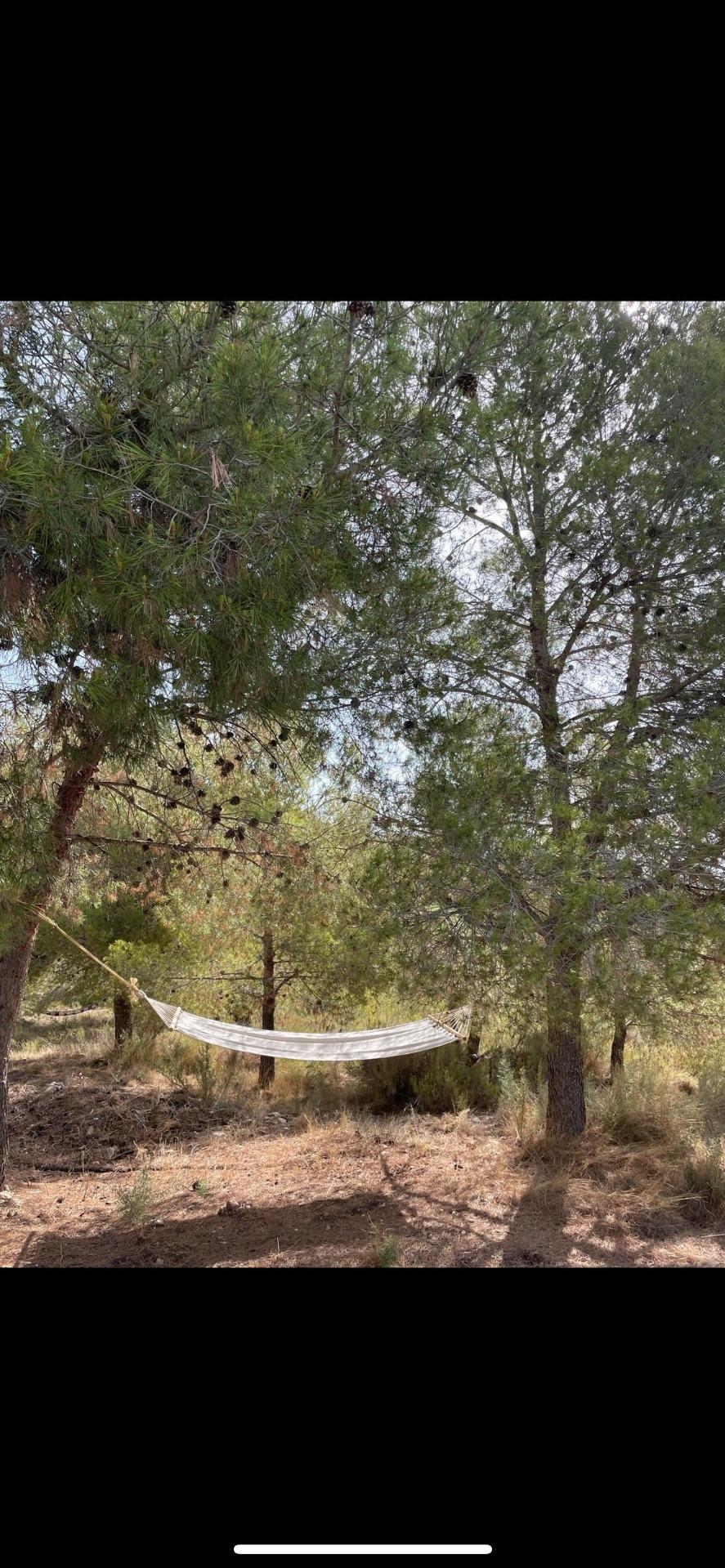 Foto 3 de Casa de Campo 