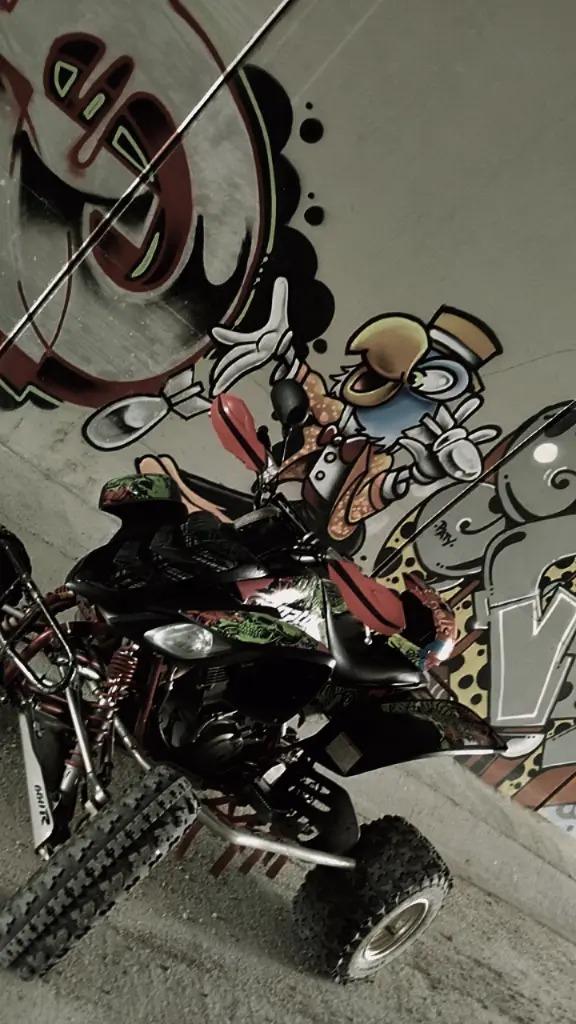 Foto 3 de Yamaha raptor 660 r