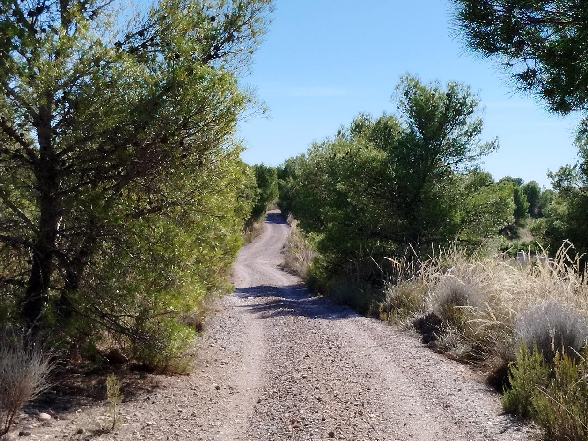 Foto 4 de Piso o casa en ciudad 