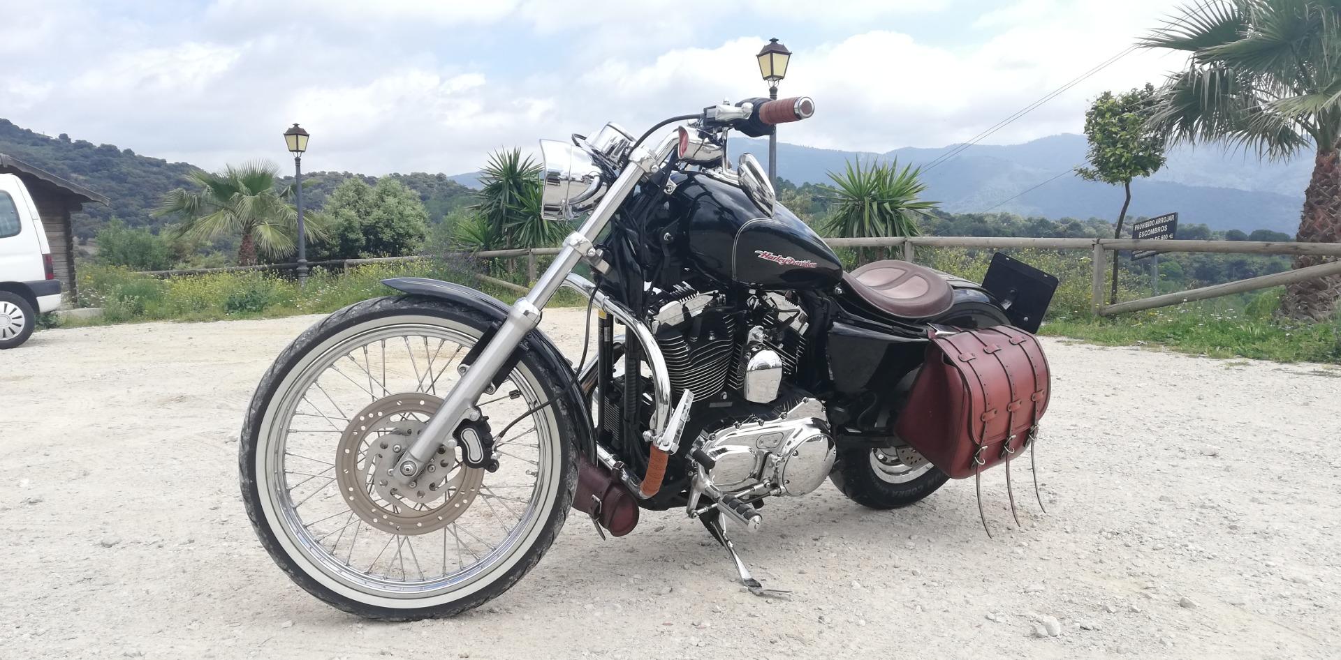 Foto 2 de Harley XL1200C 