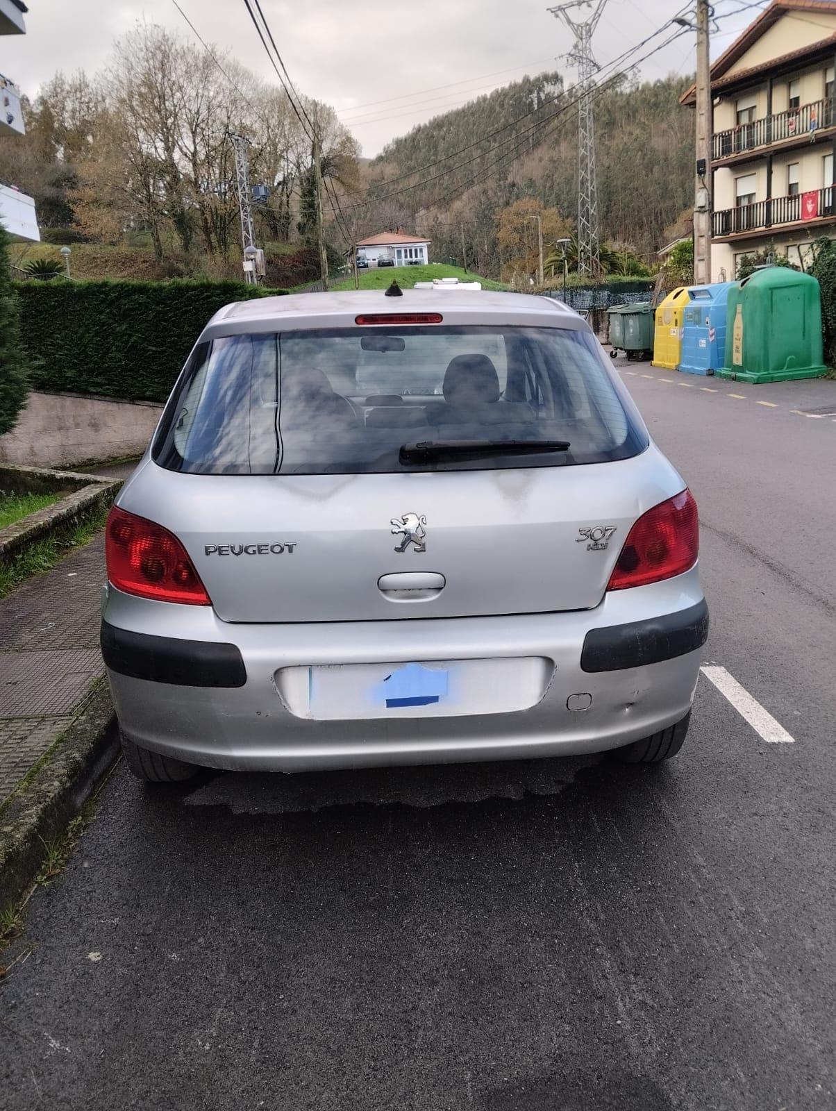 Foto 3 de Peugeot 307
