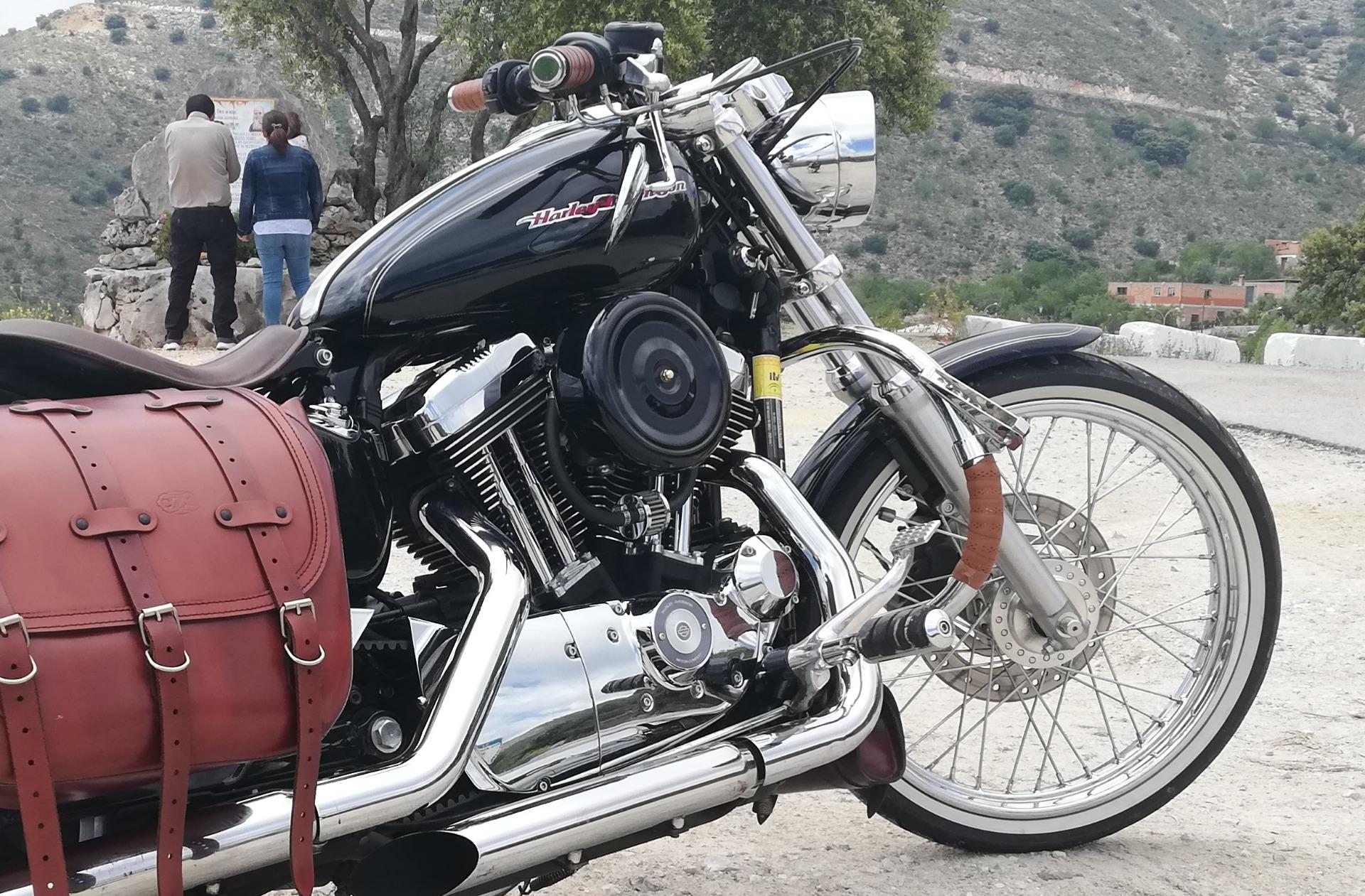 Foto de Harley XL1200C 