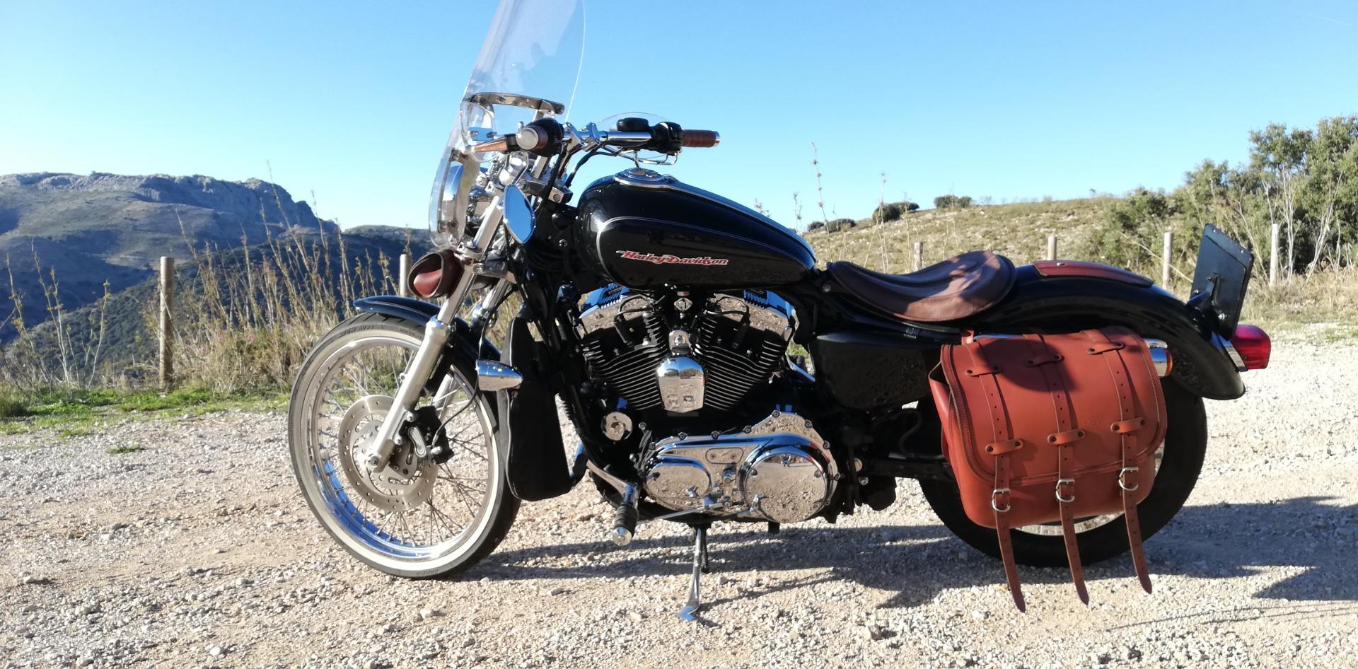 Foto 6 de Harley XL1200C 