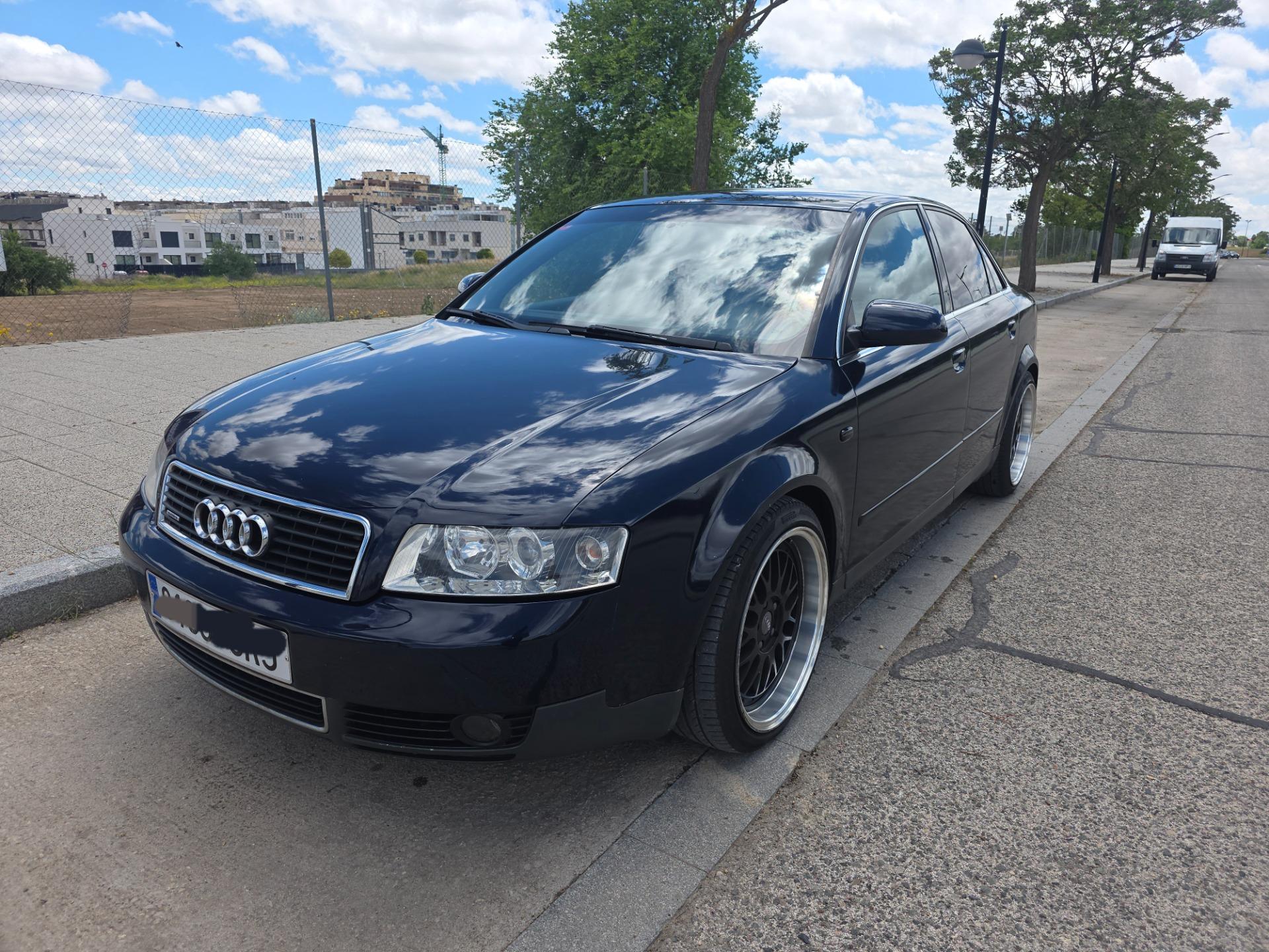 Foto 3 de Audi a4 1.9 tdi 130cv cuattro 