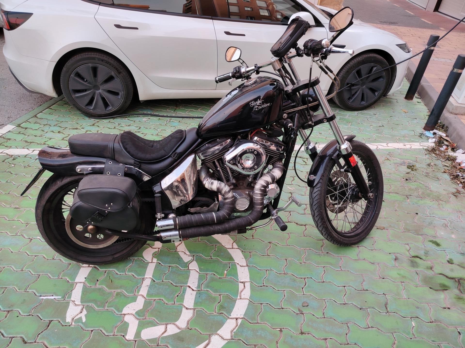 Foto 8 de Harley Davidson Sporster 1200