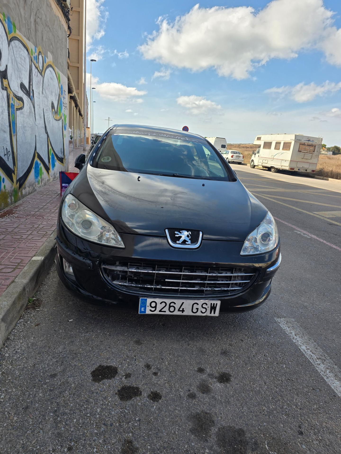 Foto 1 de Peugeot 407 sport