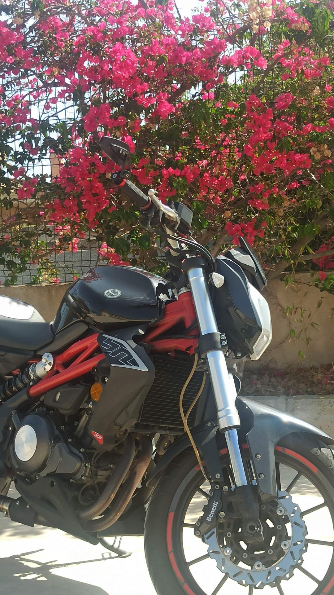 Foto 3 de CAMBIO BENELLI BN 302