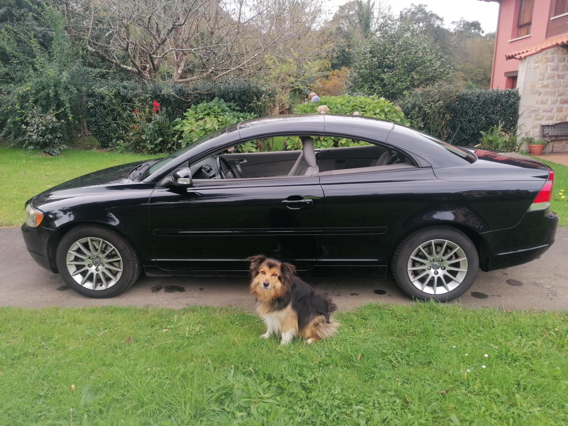 Foto 7 de Volvo C70 D5