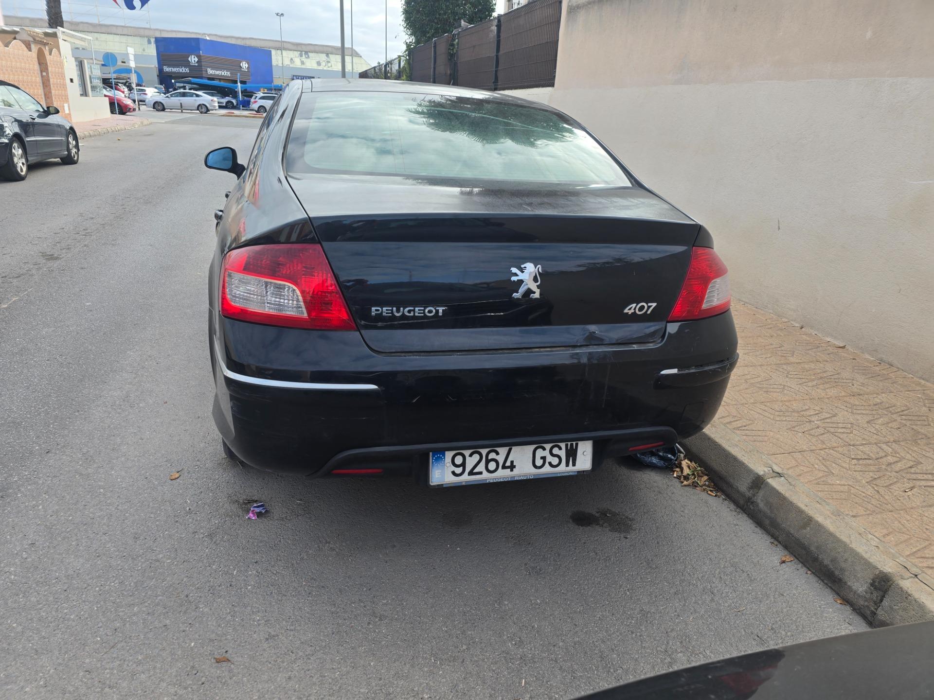 Foto 4 de 407 2.0 sports 