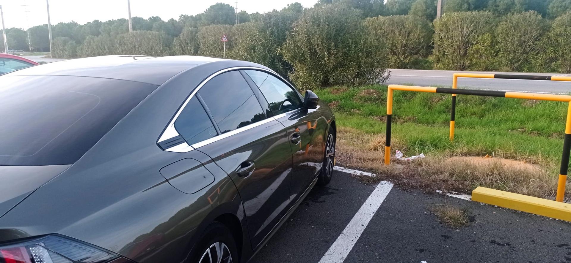 Foto 5 de Peugeot 508 año 2019 