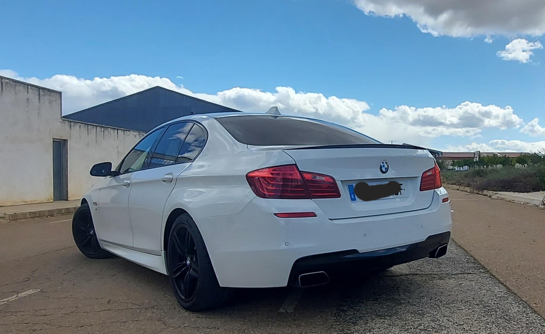 Foto 7 de Bmw 530d m sport
