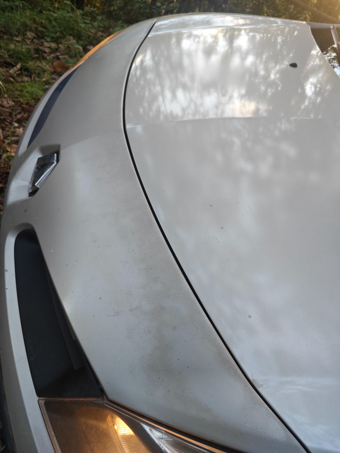 Foto de Renault Clio 3 2006