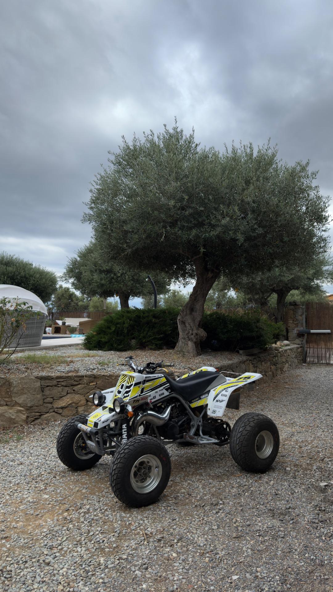 Foto de Yamaha Banshee 350