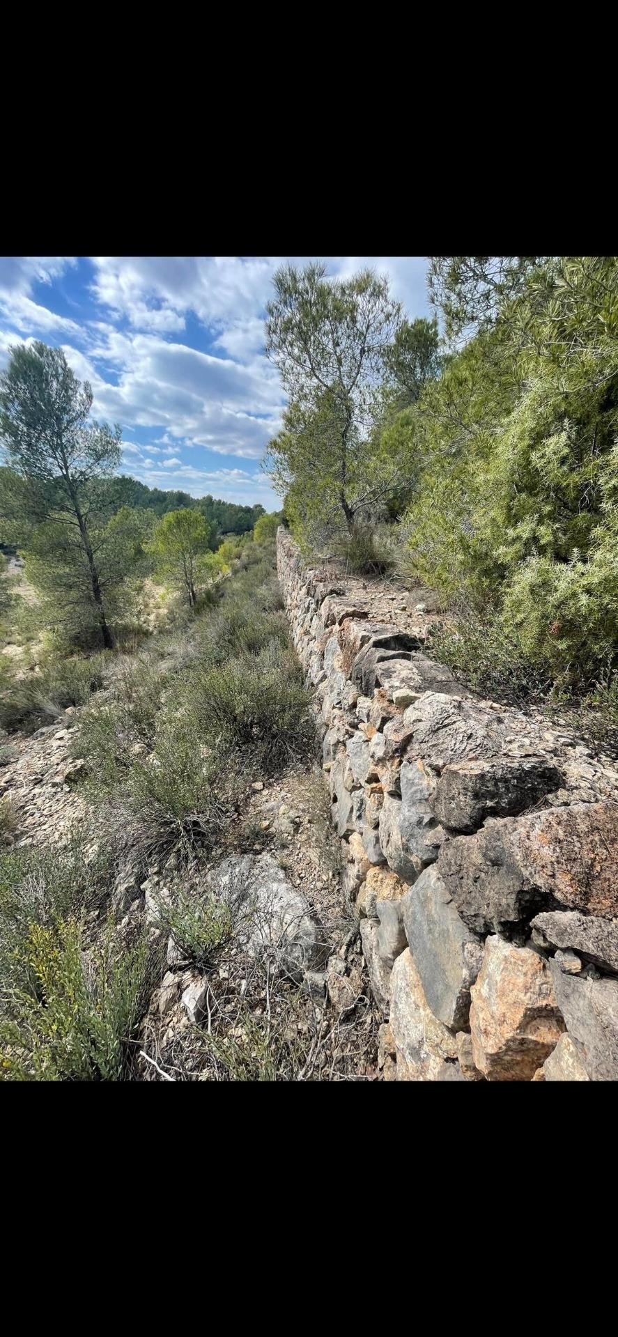 Foto 4 de Casa de Campo 