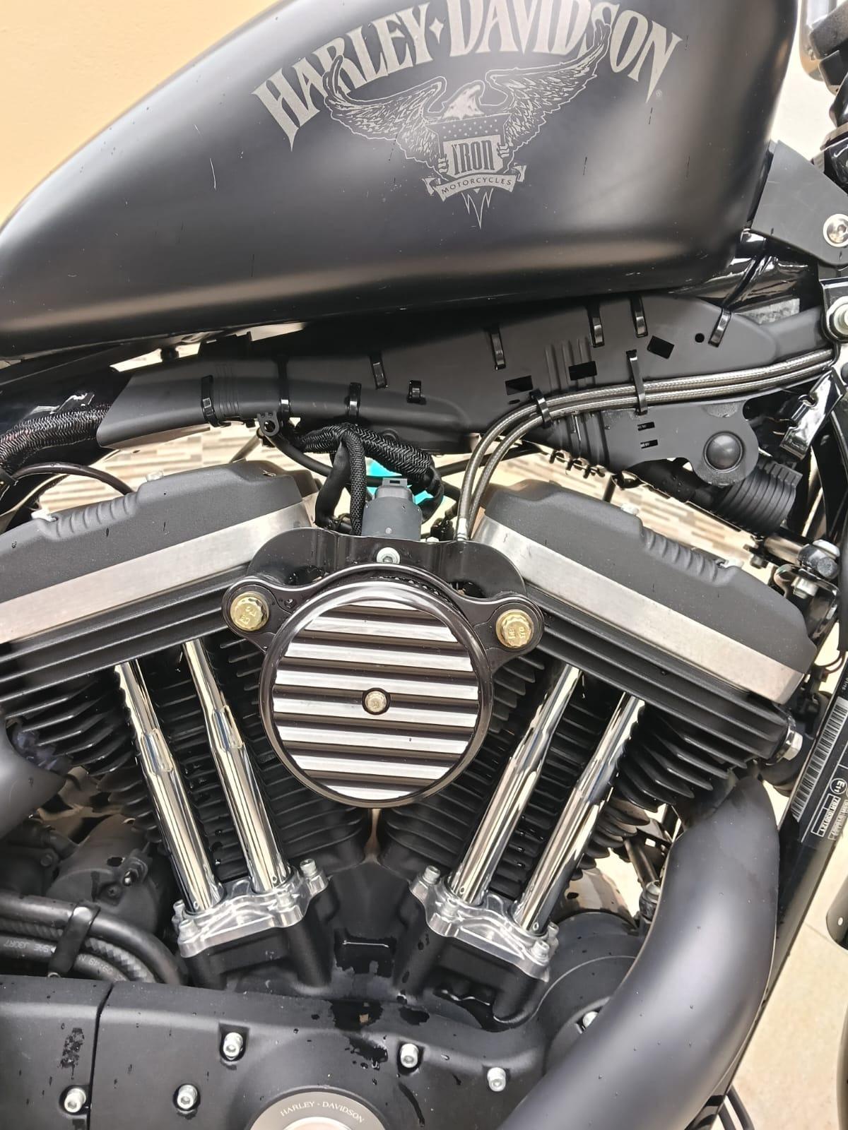 Foto 8 de Harley Davidson sporster 883 iron xl