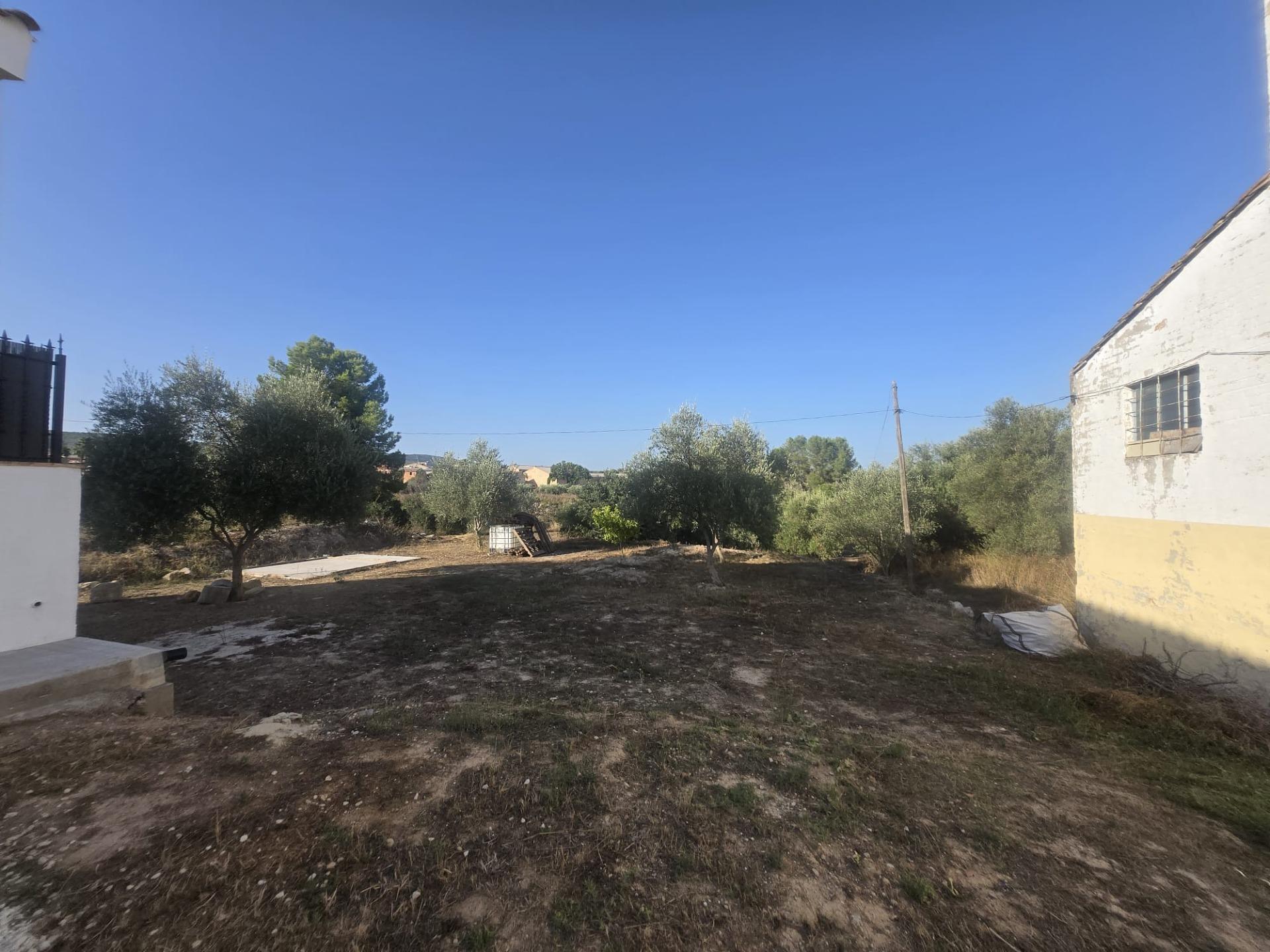 Foto 8 de Parcela L'Olleria – Permuta valor 35.000 €