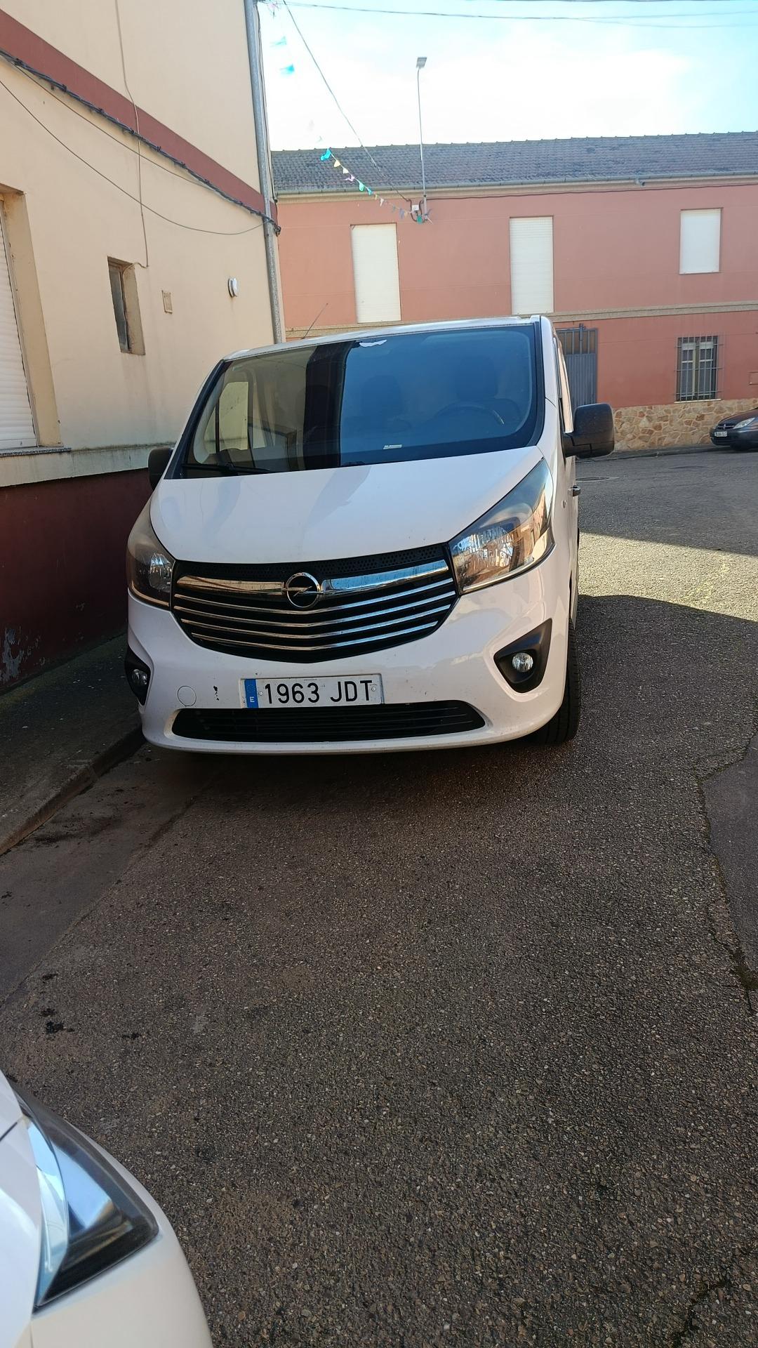 Foto 4 de vivaro
